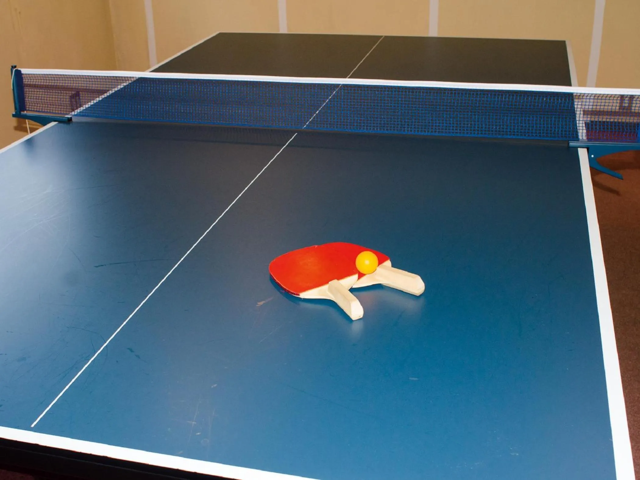 Table Tennis in Hotel Musashiya
