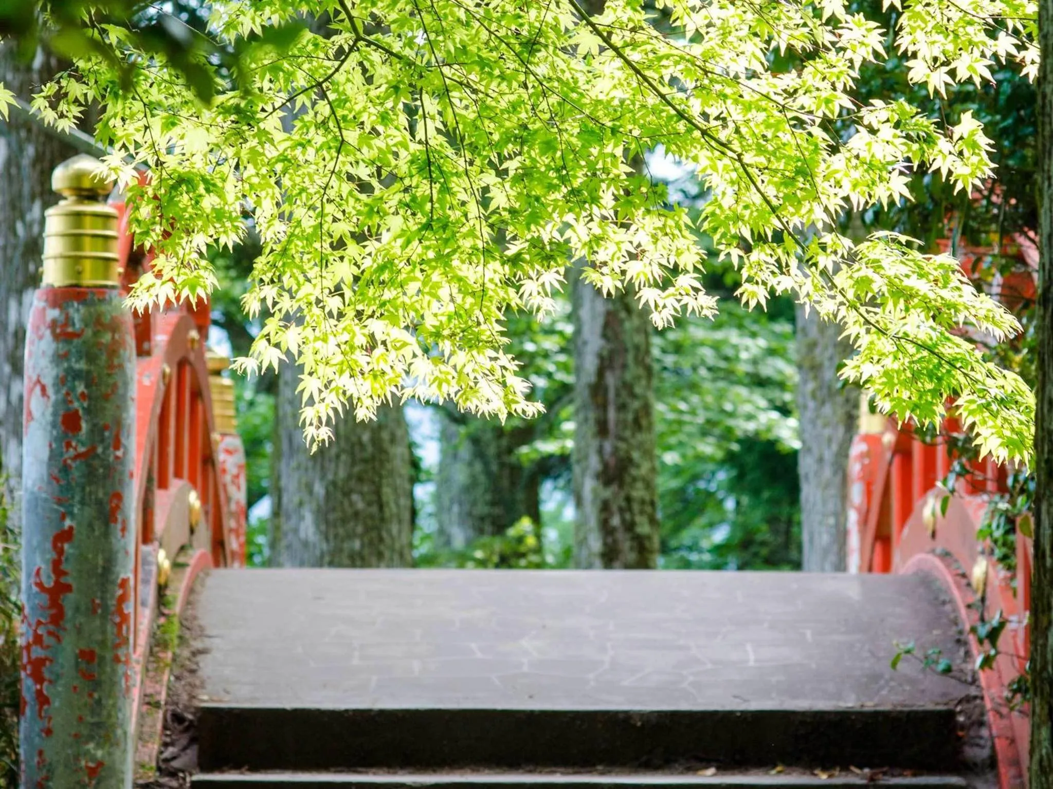 Off site in Hotel Musashiya