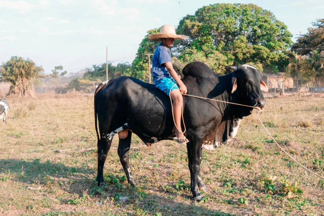 Animals in Pousada do Nondas