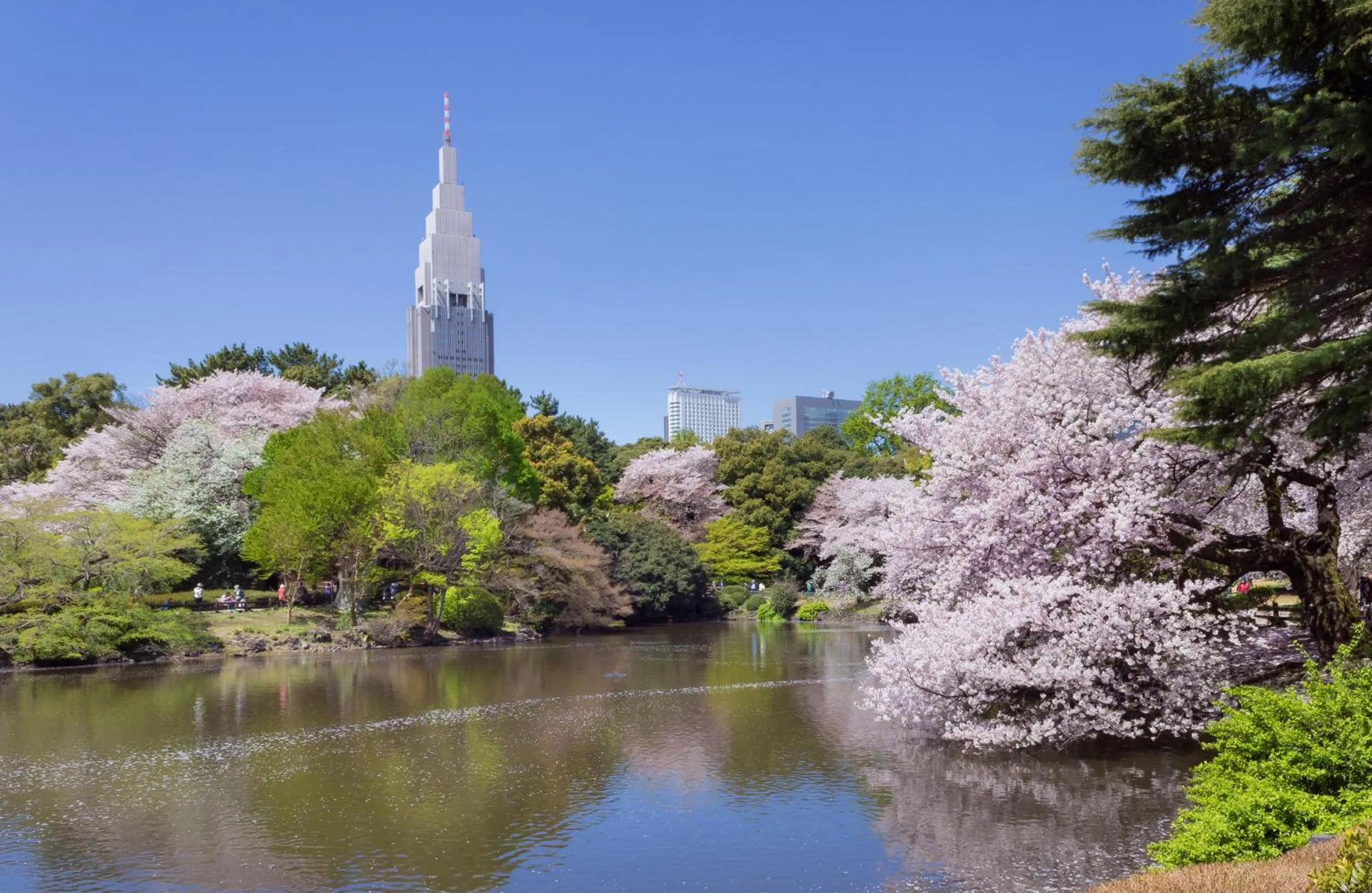 Nearby landmark in Sakura Cross Hotel Shinjuku East Annex