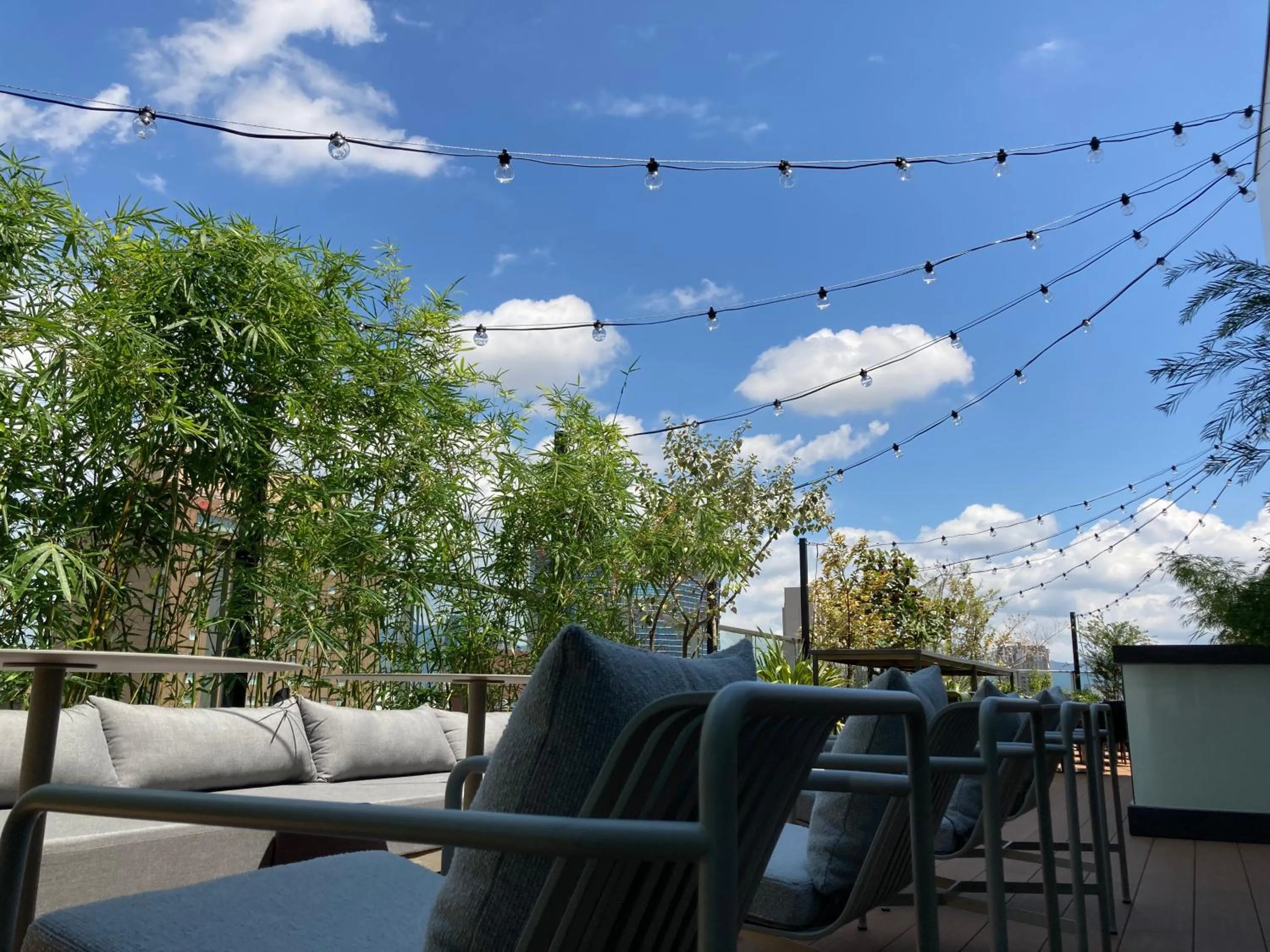 Day in The Knot Hiroshima