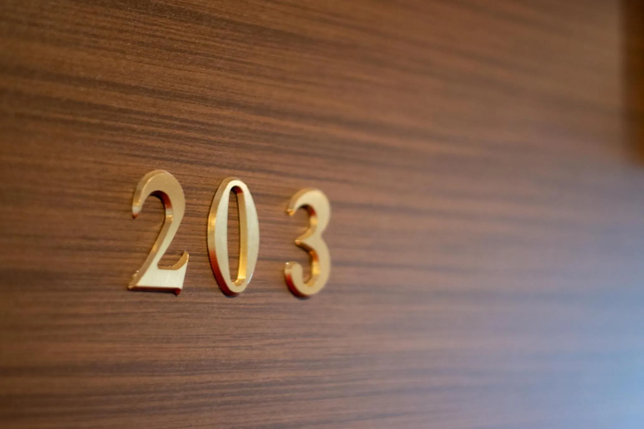 Photo of the whole room in Hotel Neiraku