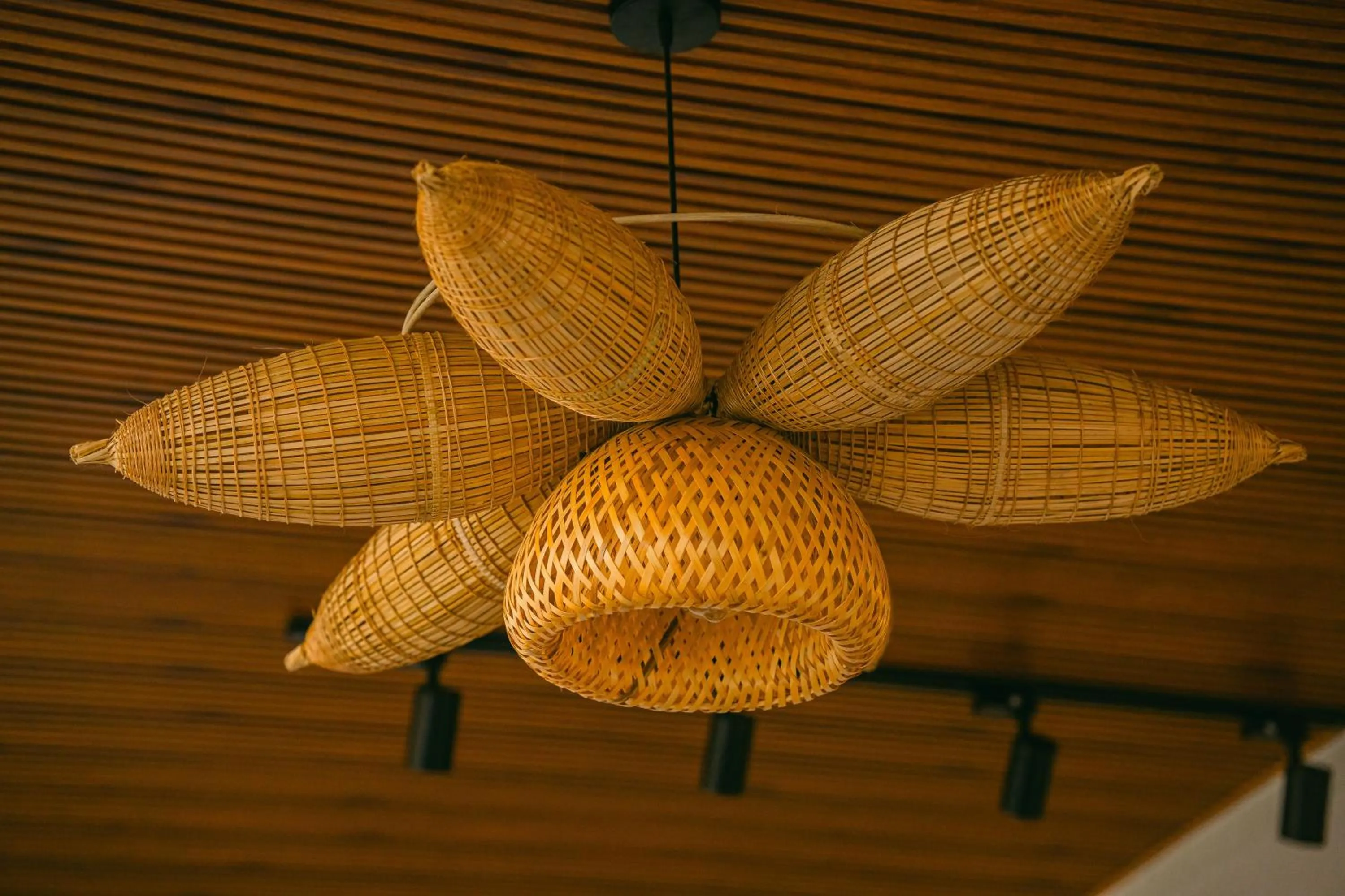 Property building in Beach Palm Villa Hoi An