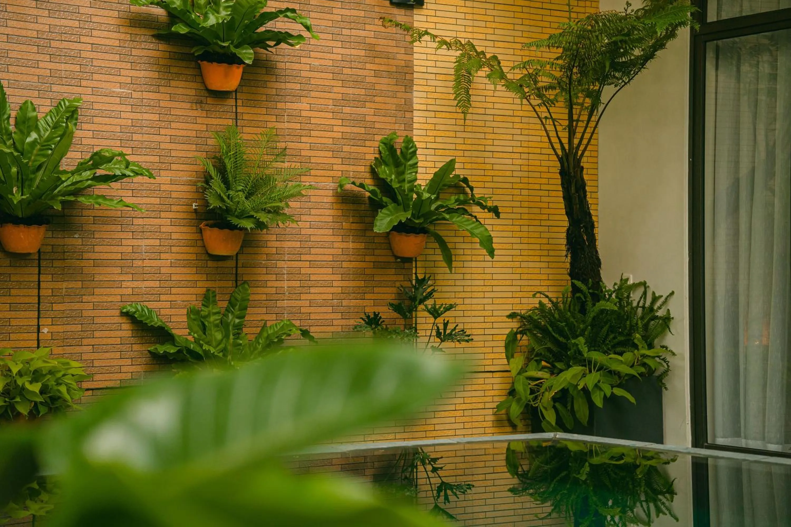 On site in Beach Palm Villa Hoi An