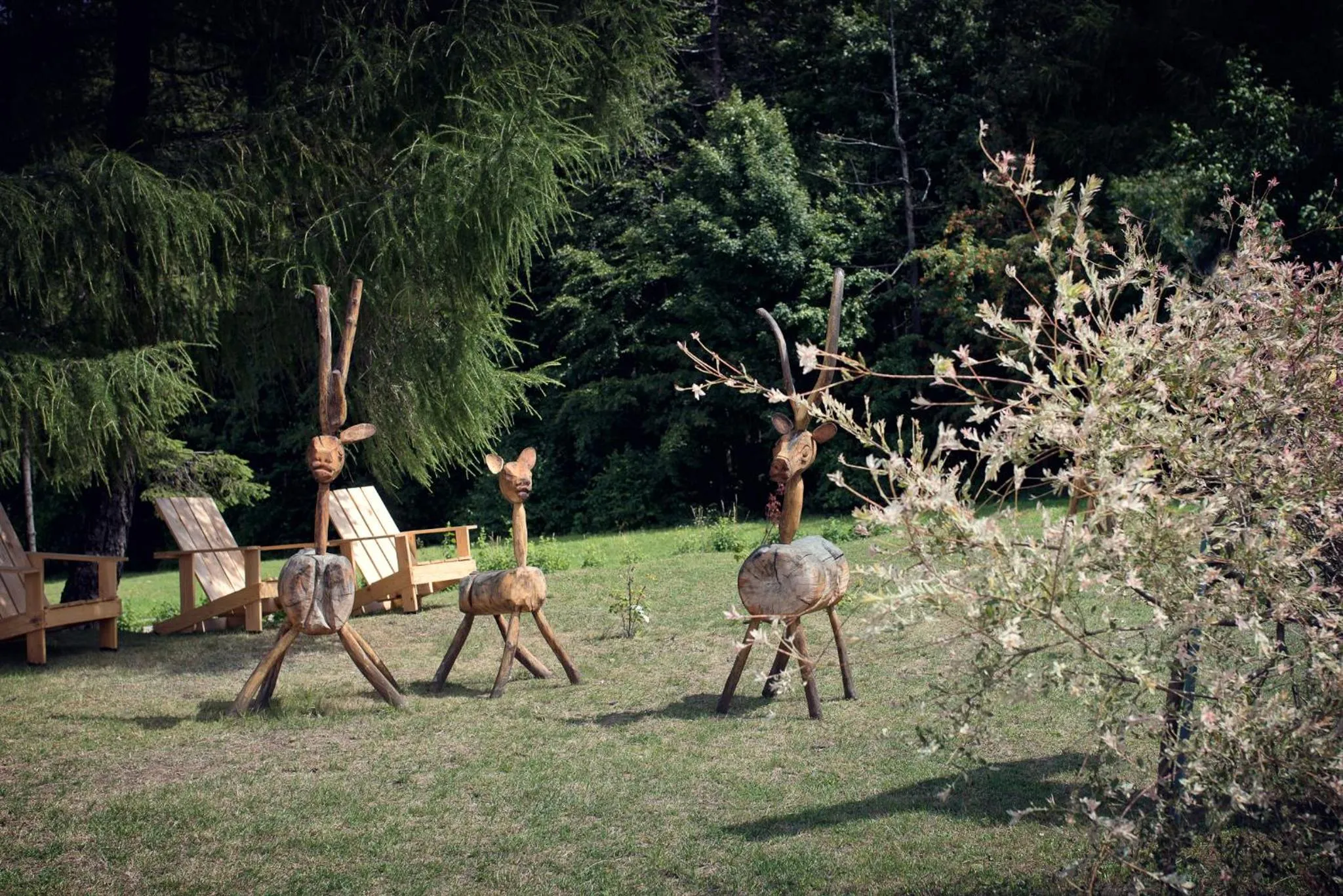 Pensjonat "Jodłowy Dwór"