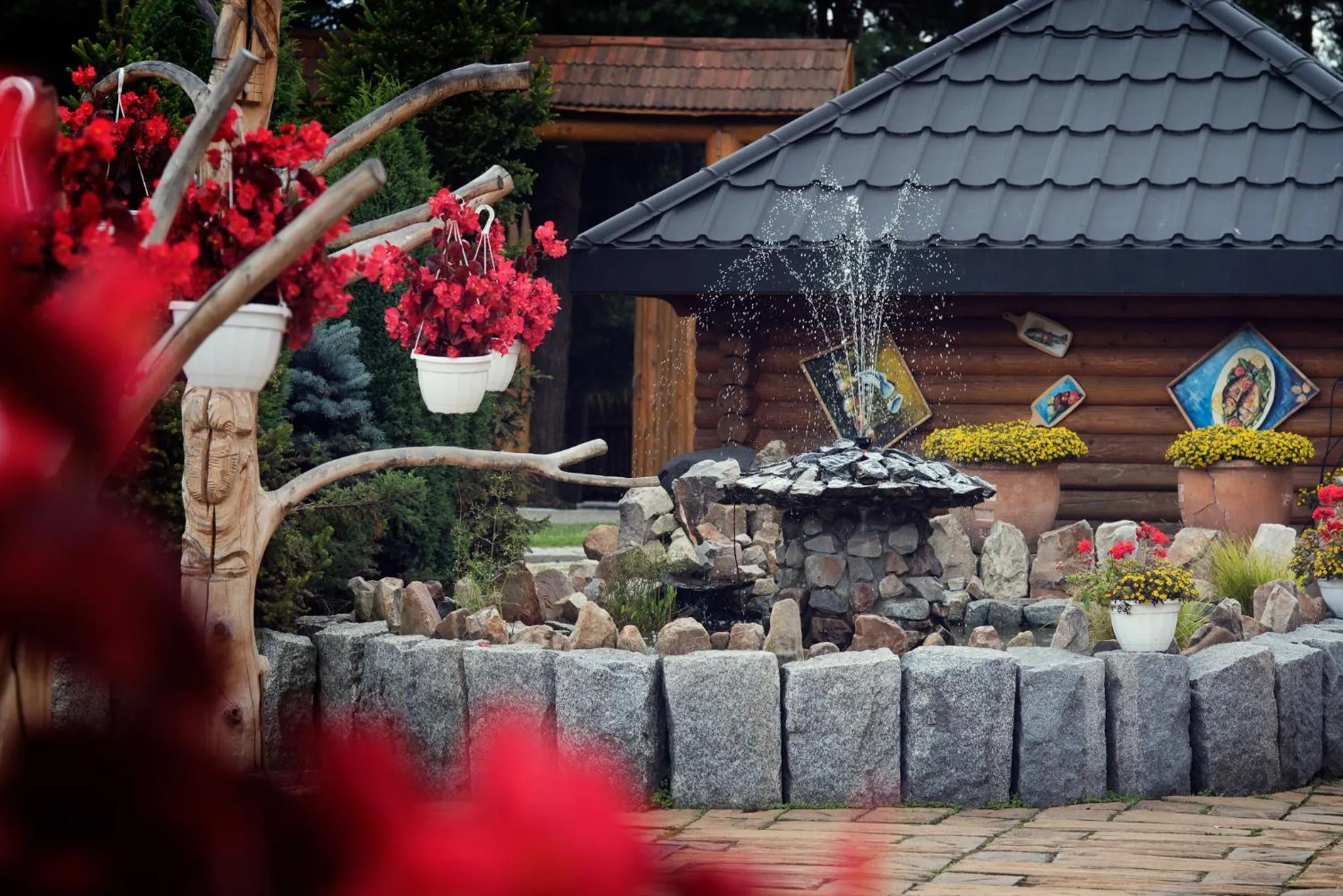 Windsurfing in Pensjonat "Jodłowy Dwór"