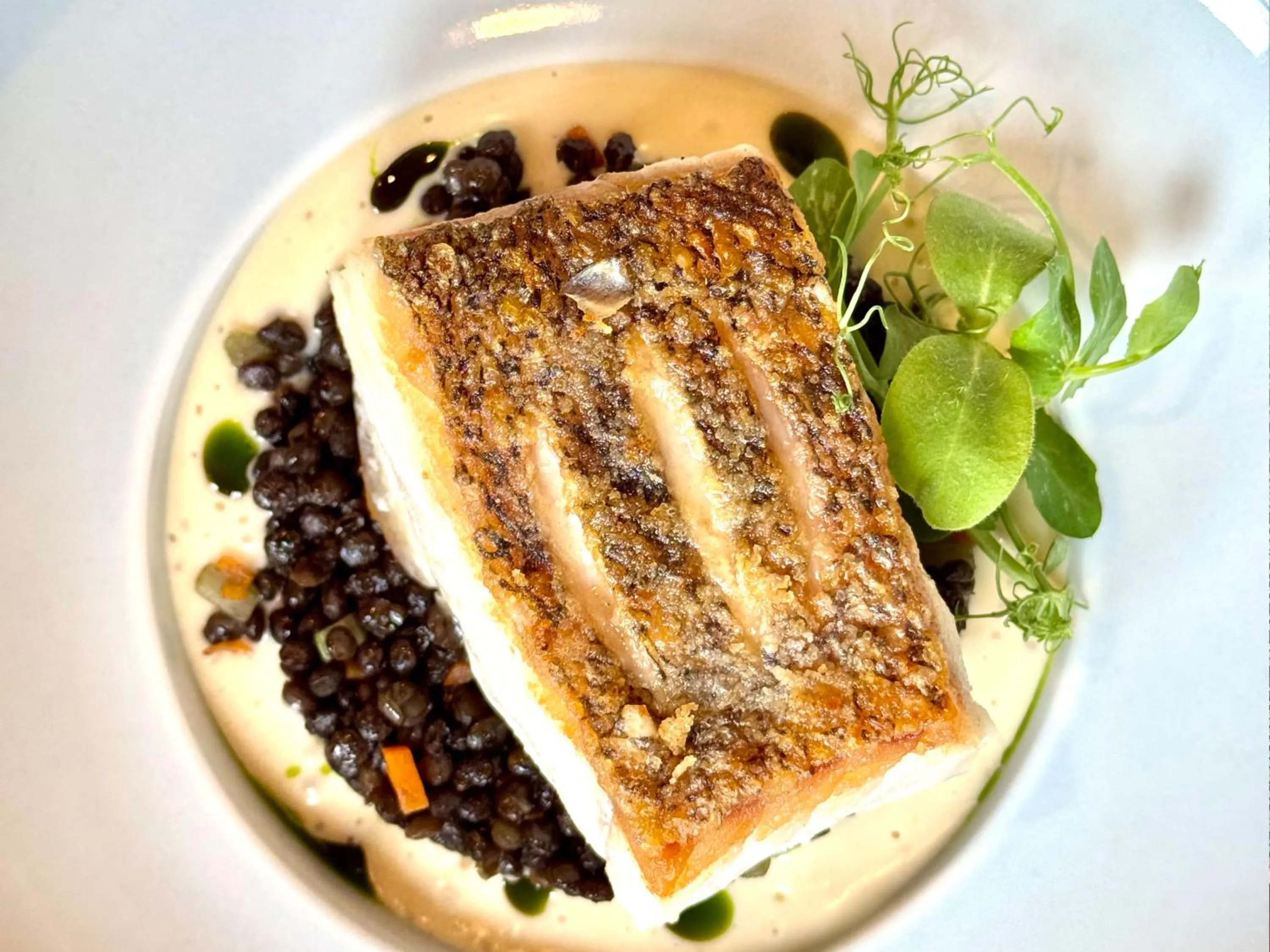 Restaurant/places to eat in Prinzhotel Rothenburg