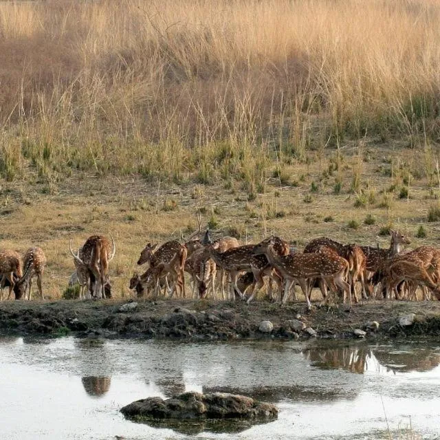Shikarbadi Hotel - By The Lake Heritage by HRH Group of Hotels