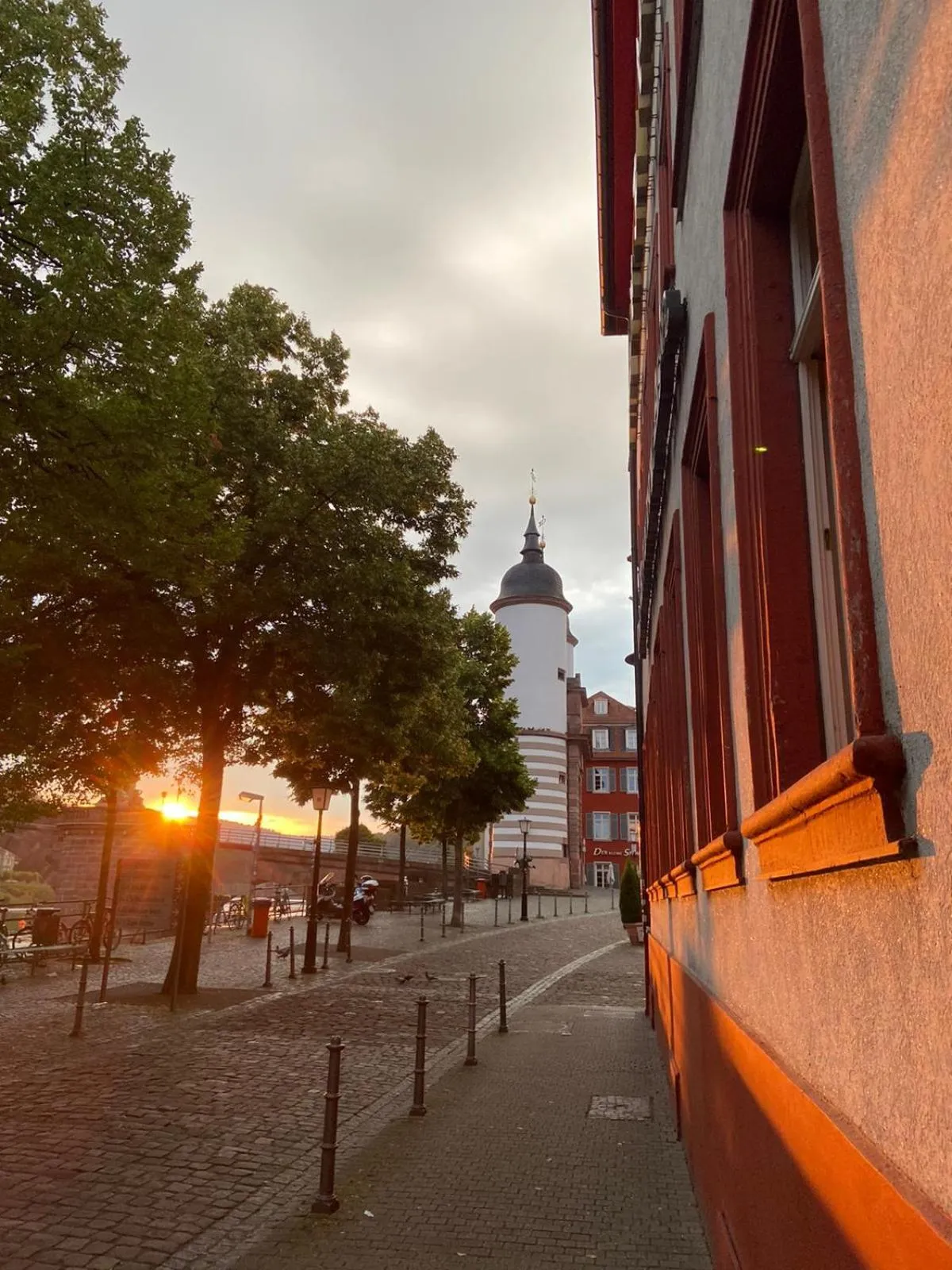 View (from property/room) in Vier Jahreszeiten