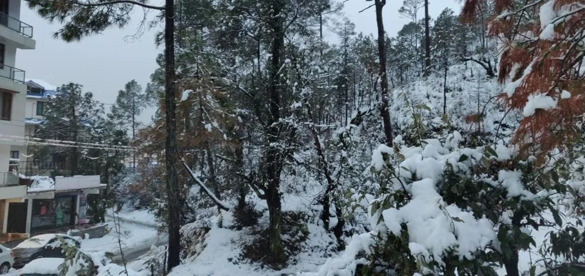 The Hoften Blue Magnets, Dalhousie