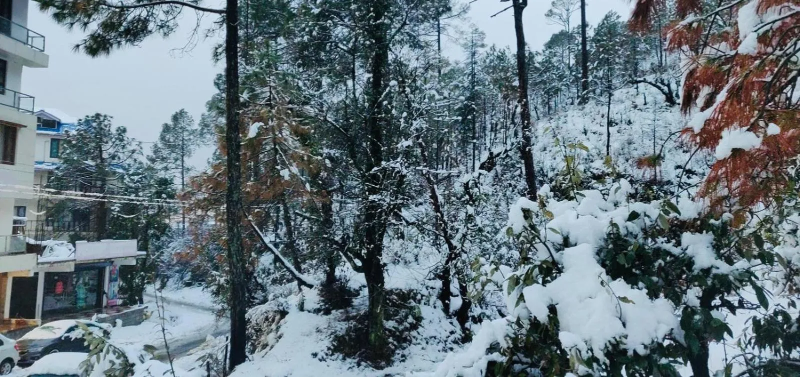 The Hoften Blue Magnets, Dalhousie