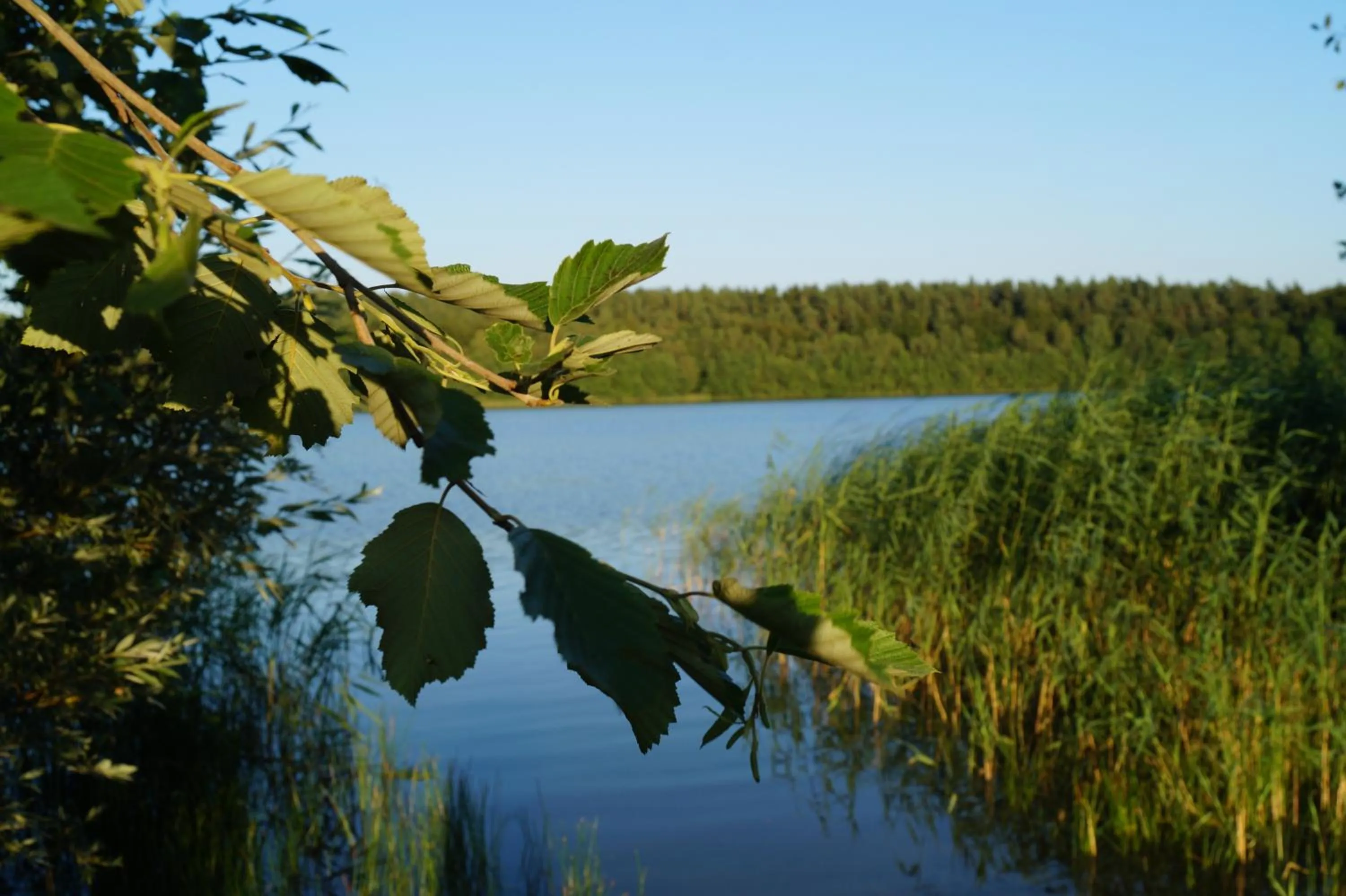 Natural landscape in Hotel Kleines Meer
