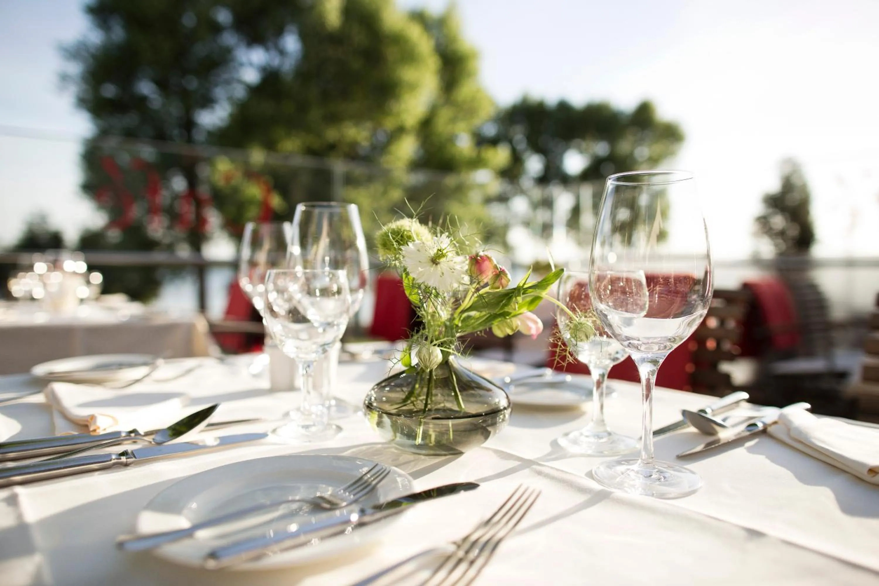 Restaurant/places to eat in Hotel Kleines Meer