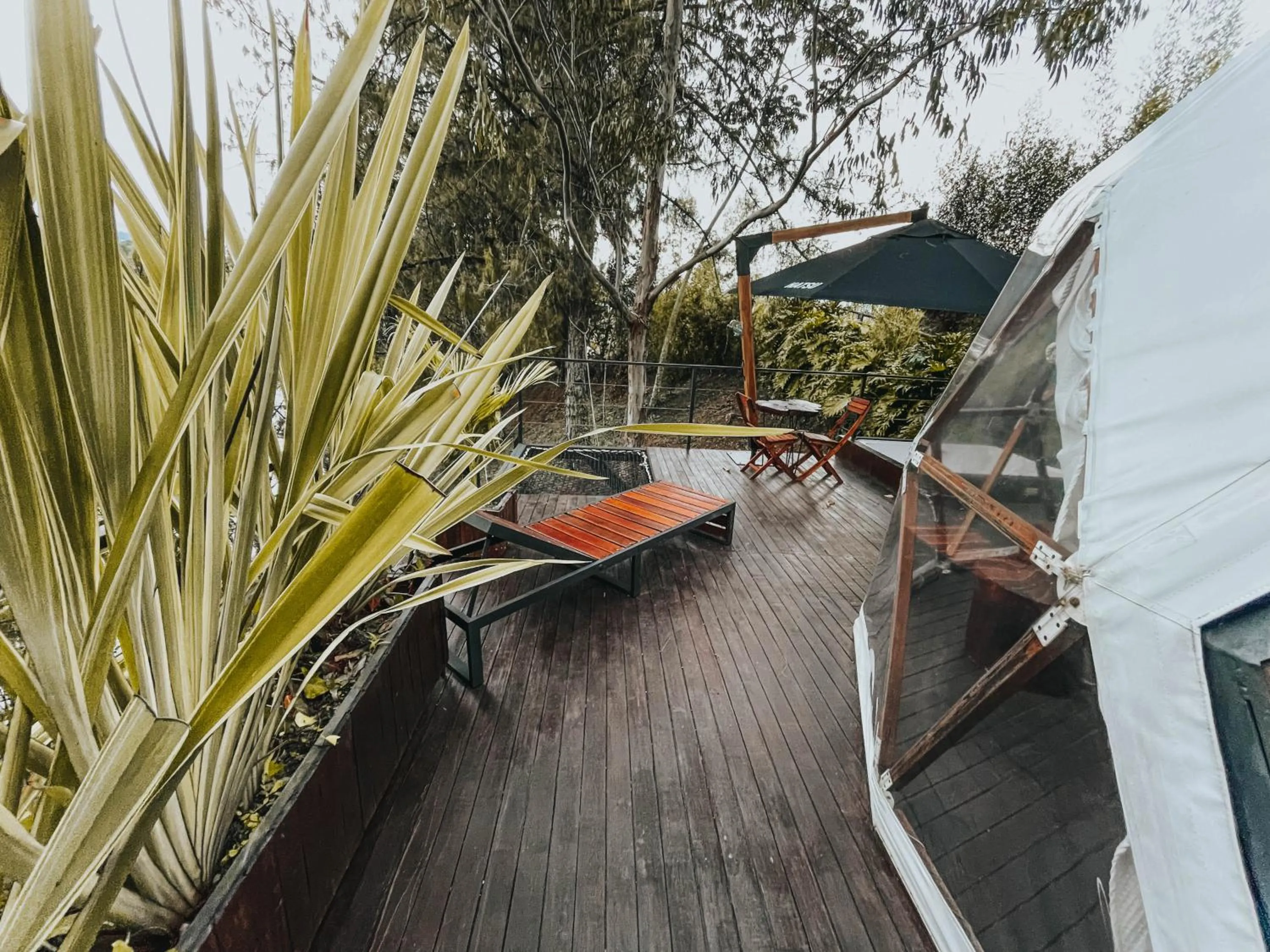 View (from property/room) in Domus Glamping Guatapé