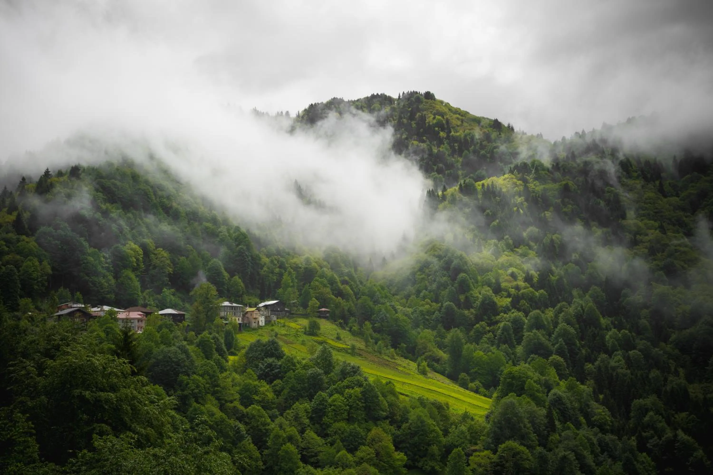 Hiking in Ricosta Hotel