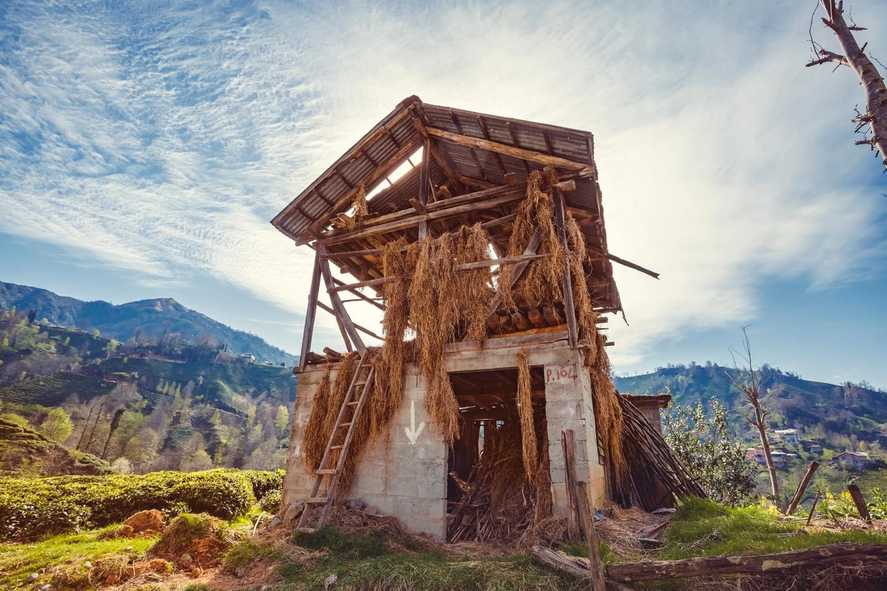 Off site in Ricosta Hotel