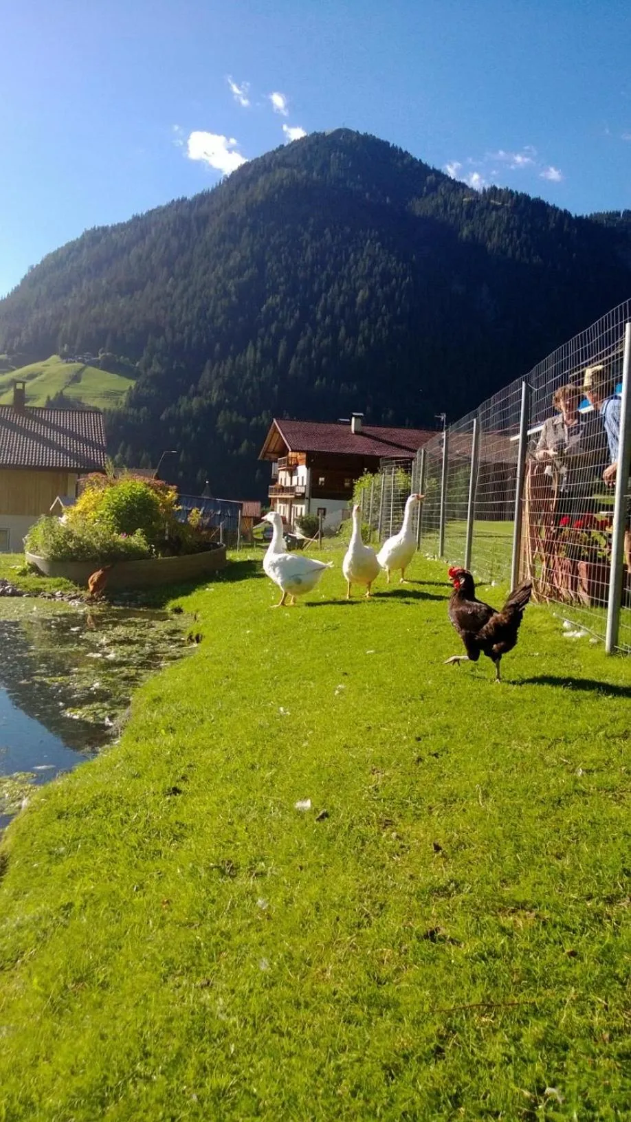 Garden in Residence Bannwald