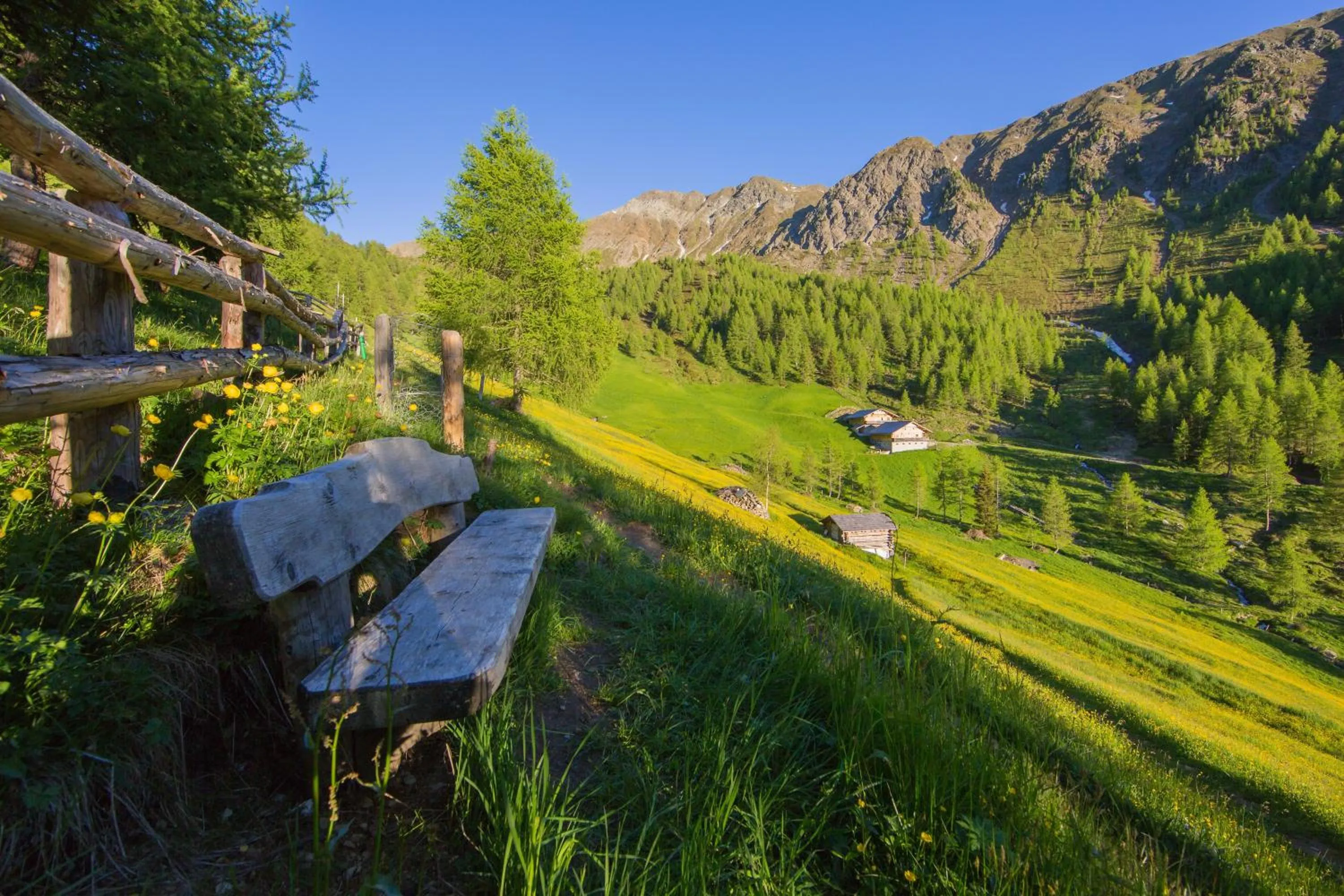 Spring in Residence Bannwald