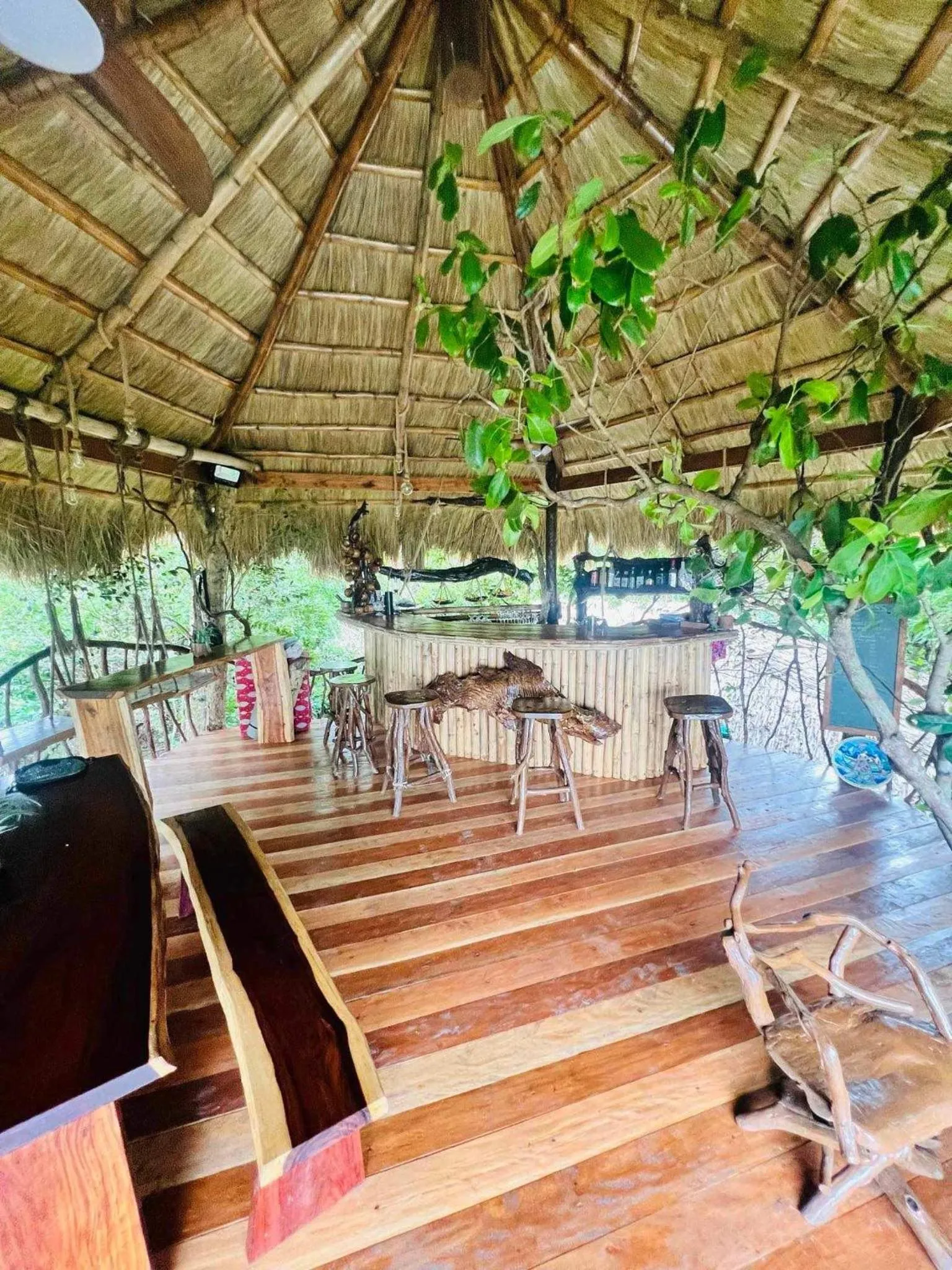 Sanctuaria Treehouses Busuanga