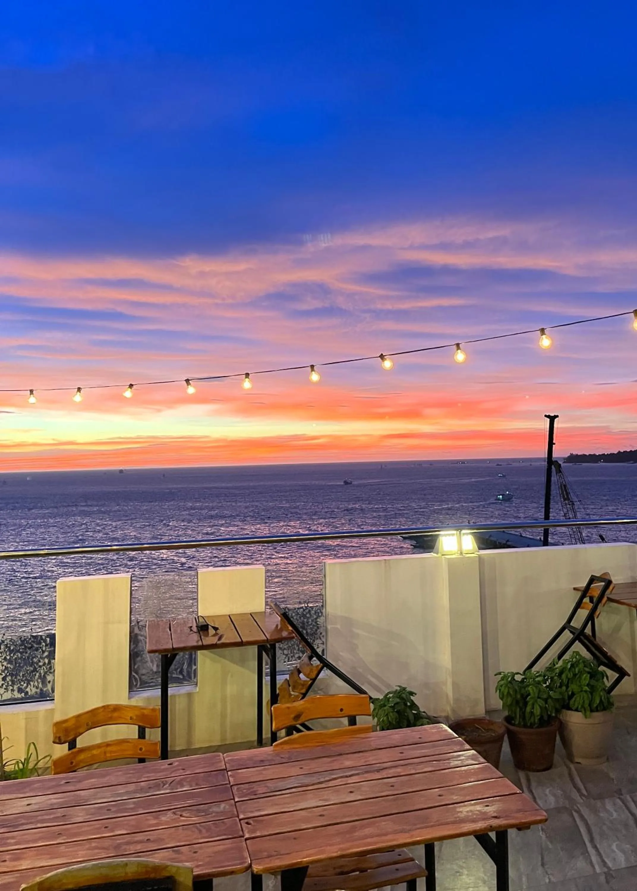 Restaurant/places to eat in Navarro Hotel