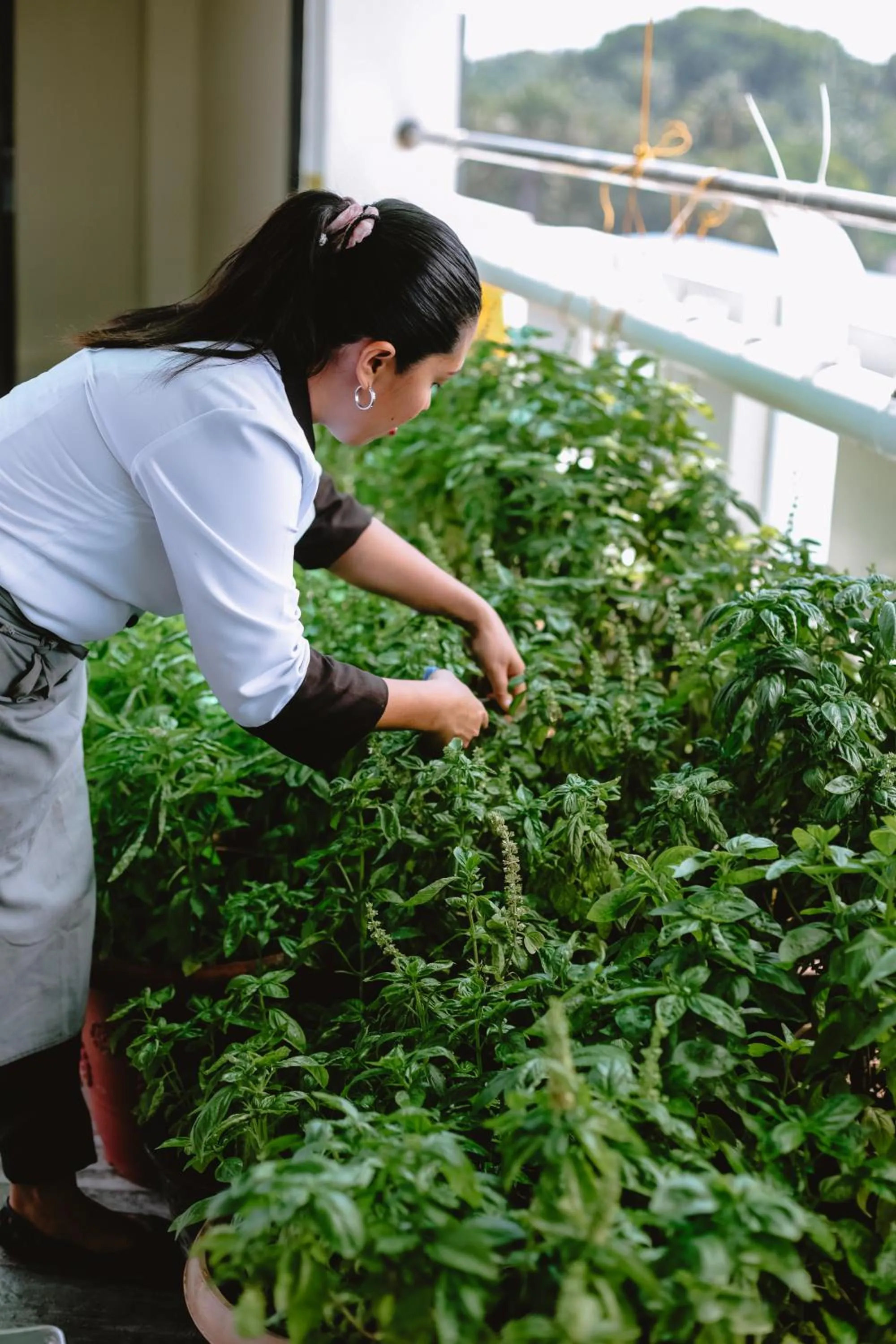 Staff in Navarro Hotel