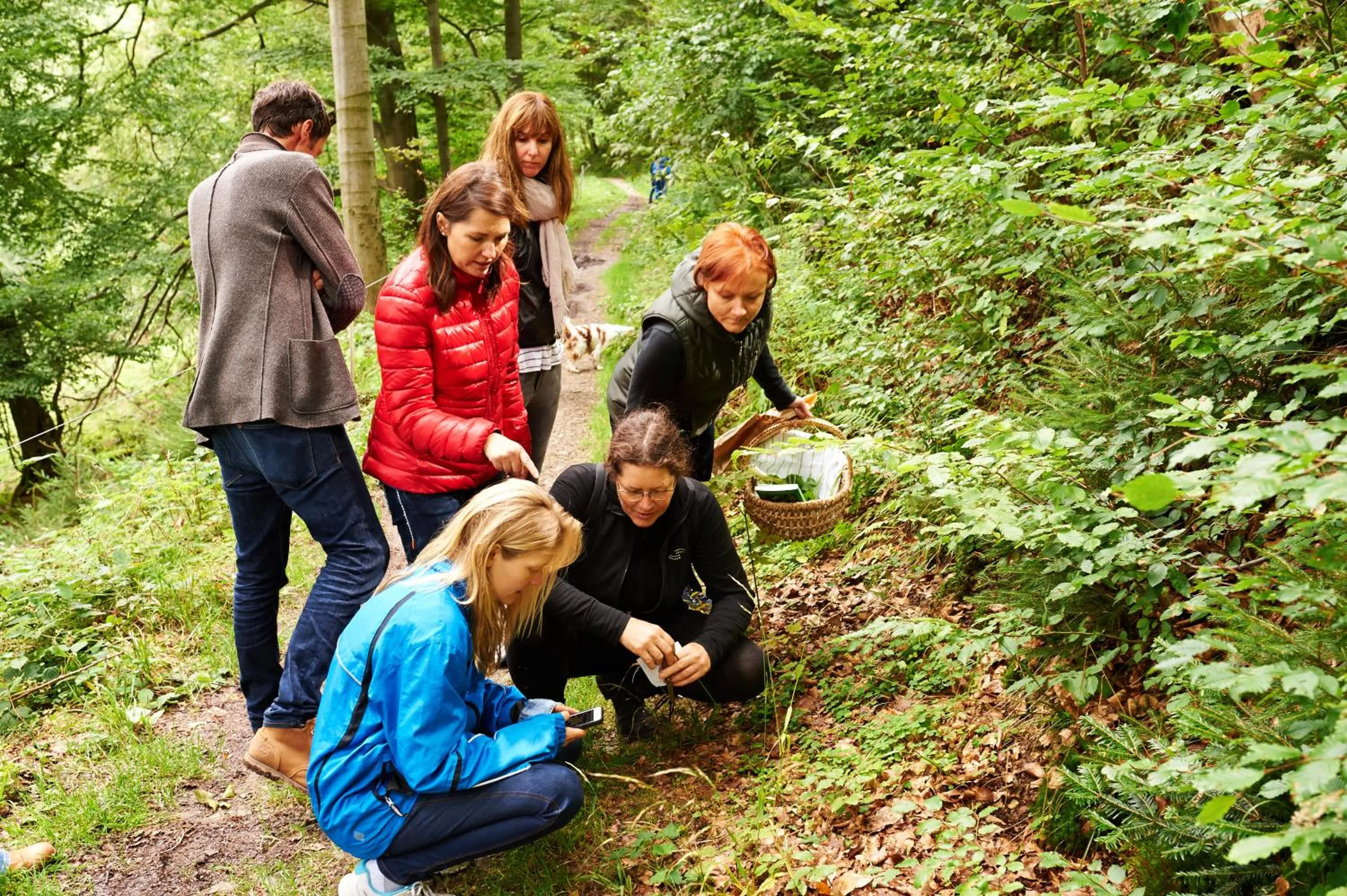 Activities in Naturkost-Hotel Harz