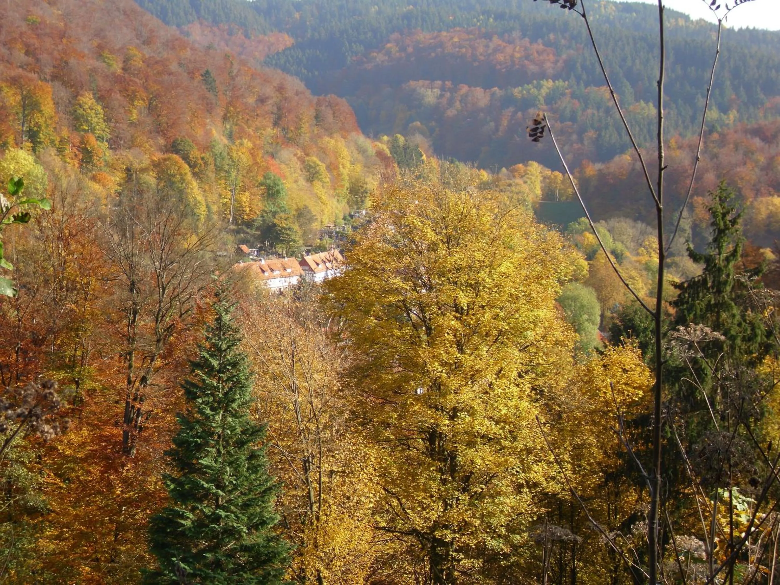 Natural landscape in Naturkost-Hotel Harz