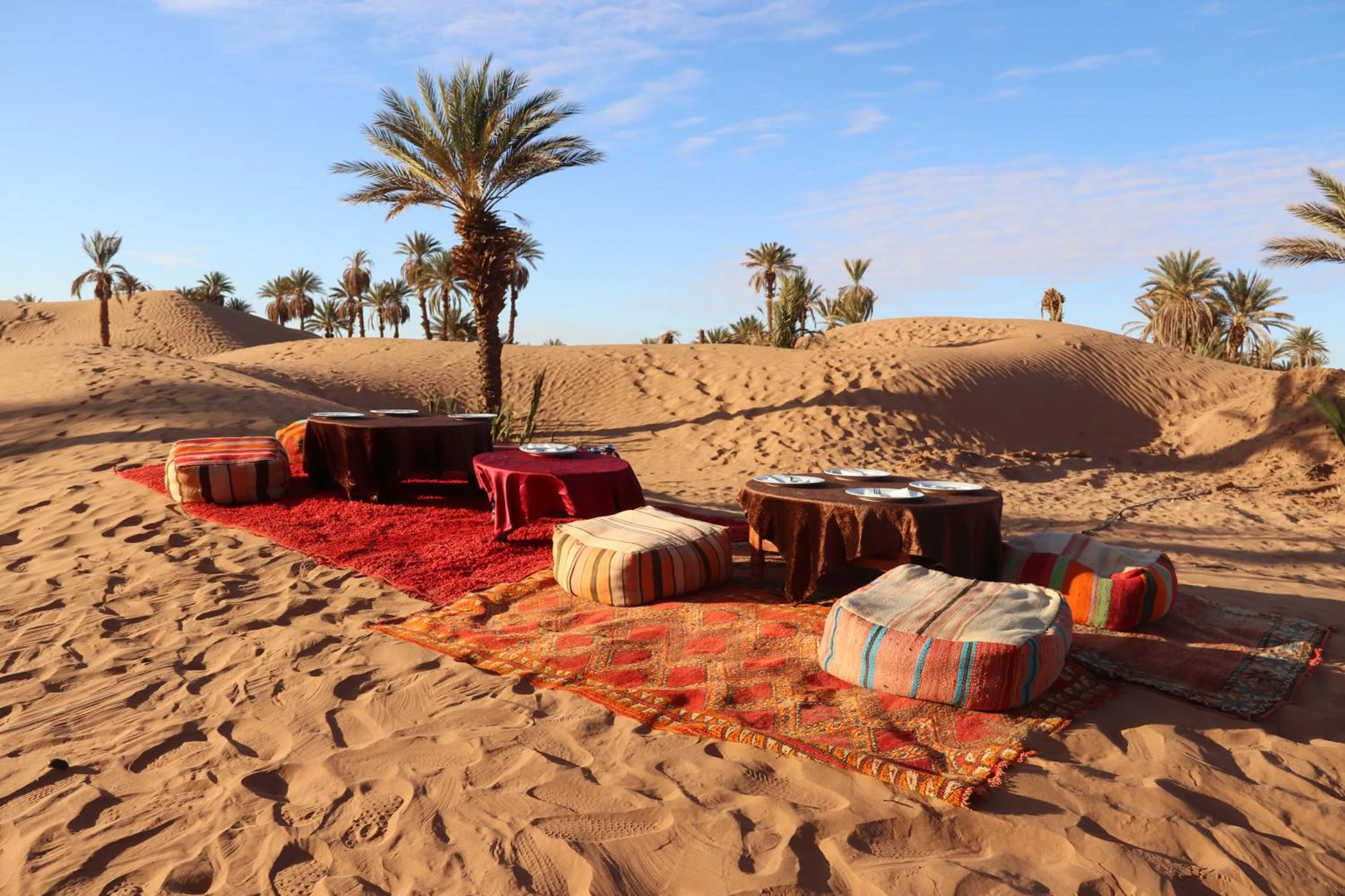 Bivouac Joudour Sahara