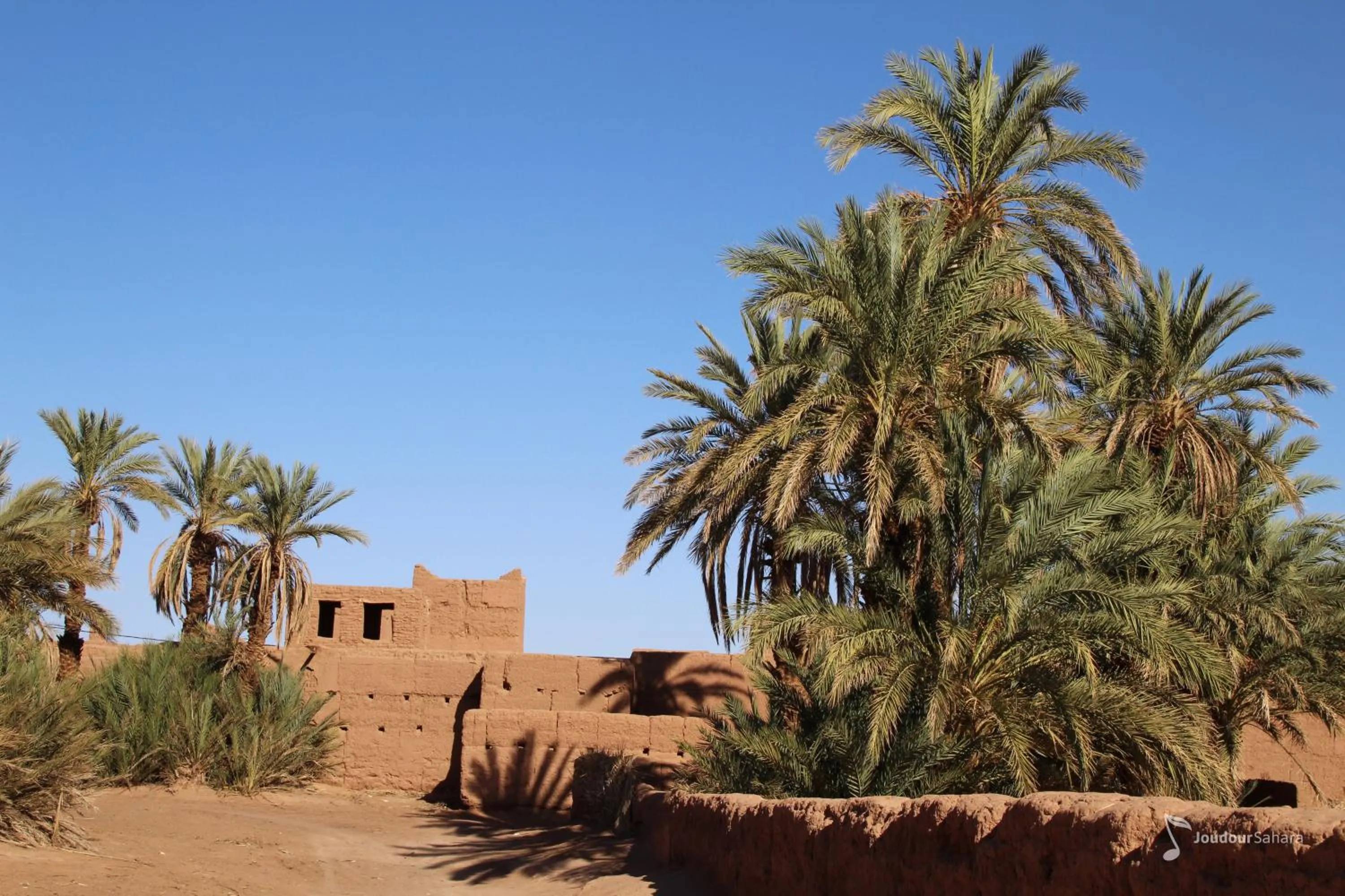 Bivouac Joudour Sahara