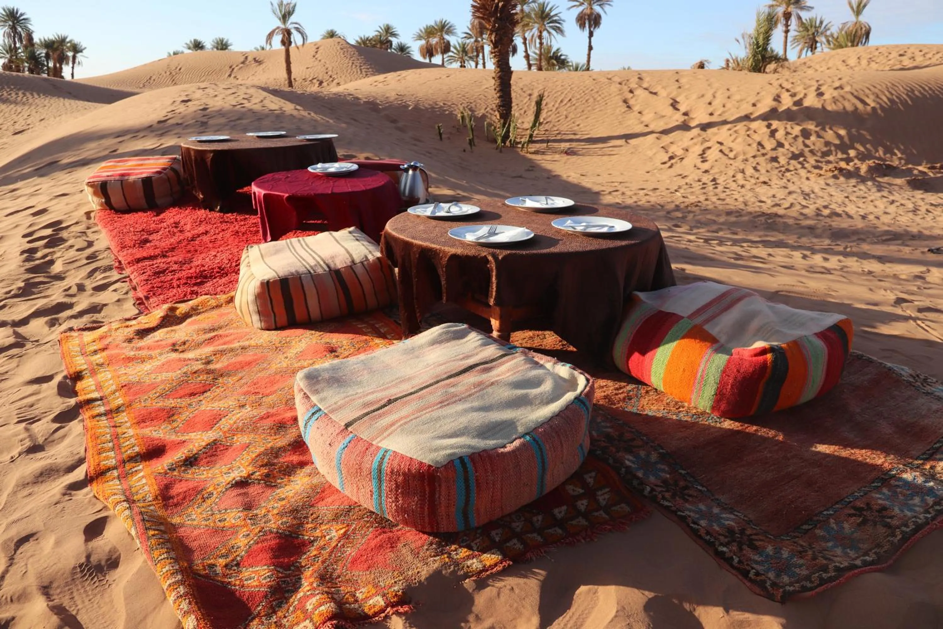 Bivouac Joudour Sahara