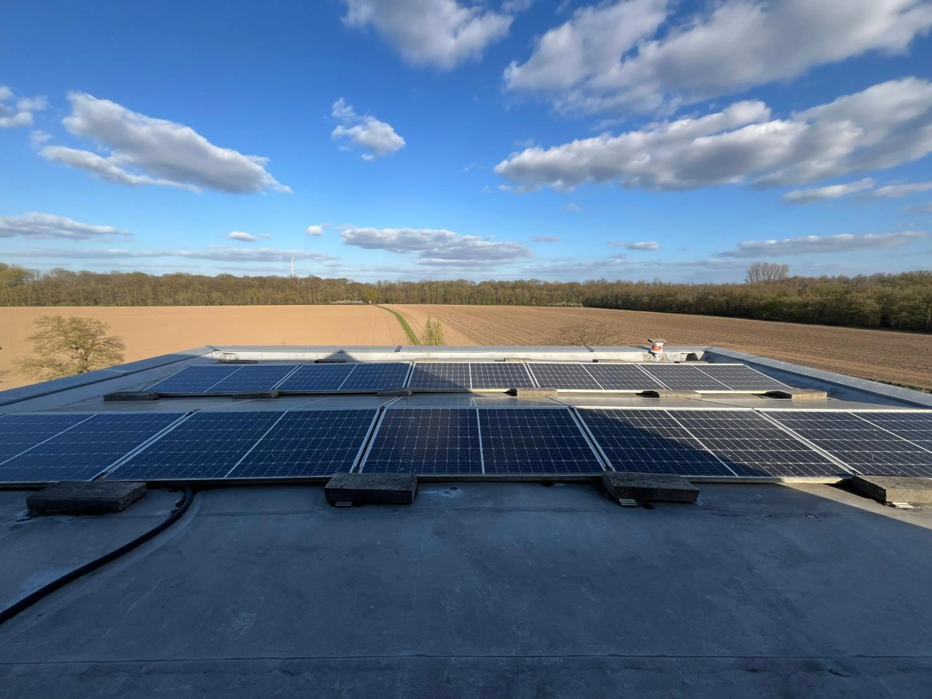 Property building in World House Wetten