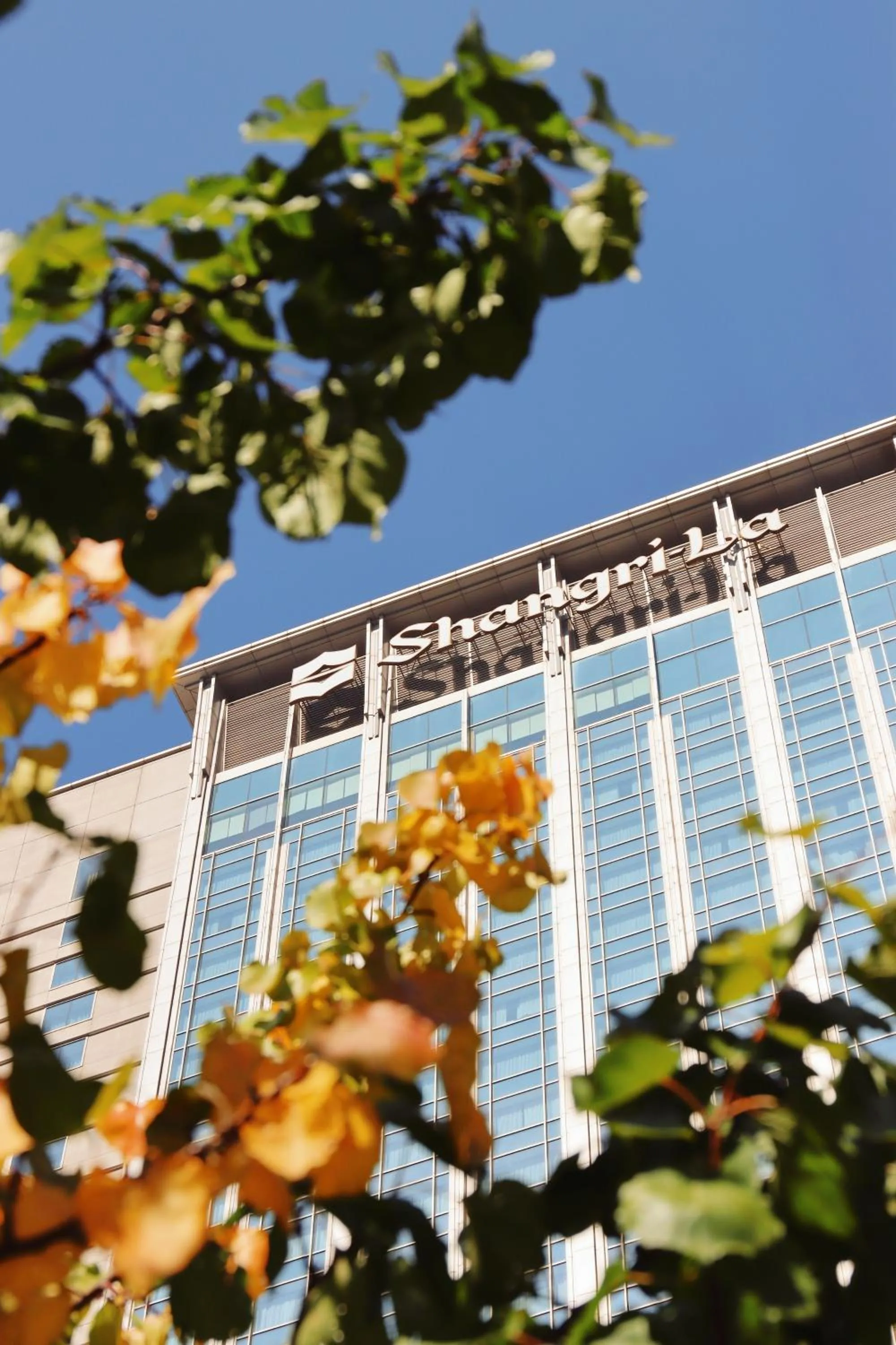 Property building in Shangri-La Shenyang