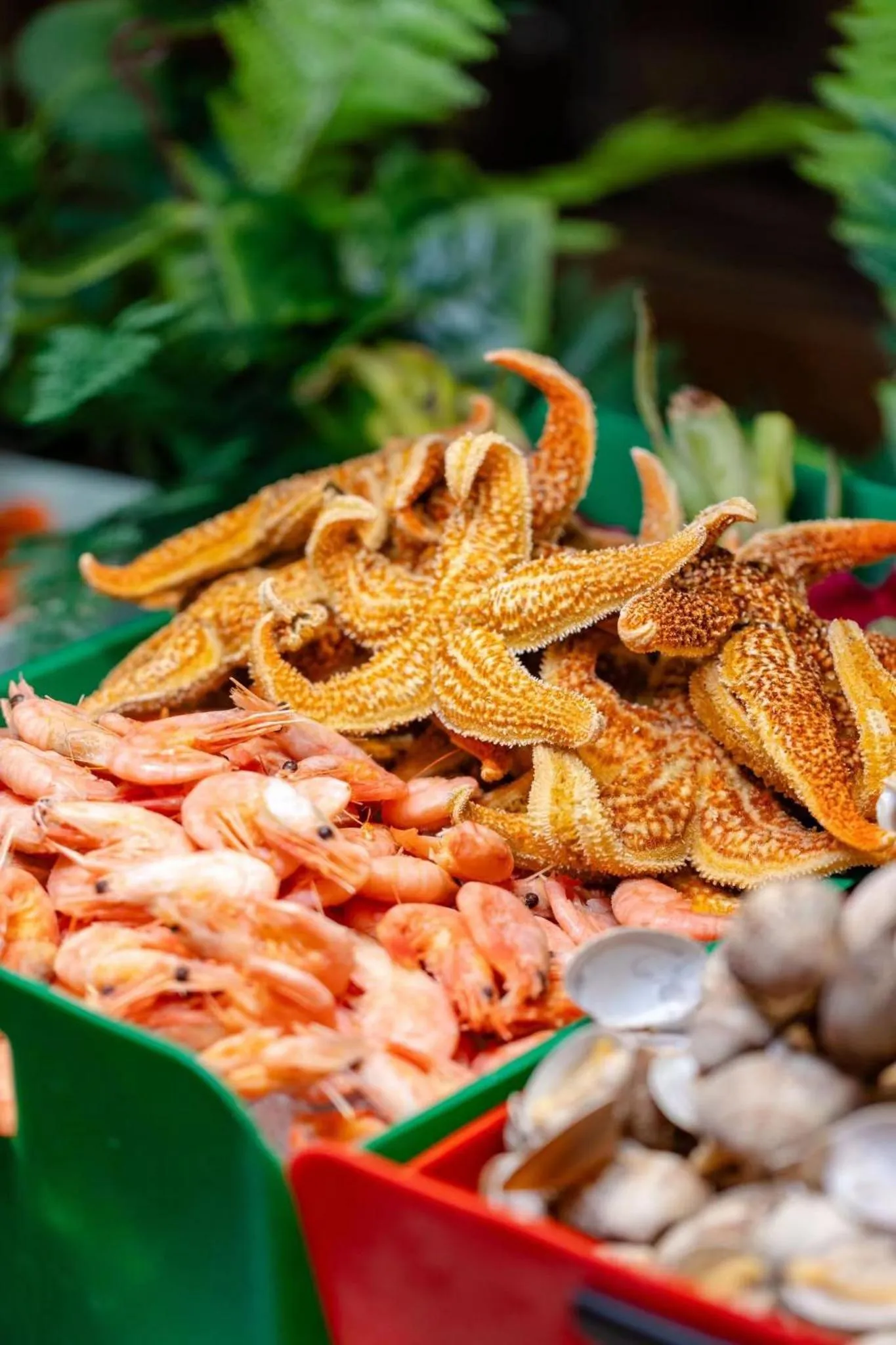 Restaurant/places to eat in Shangri-La Shenyang