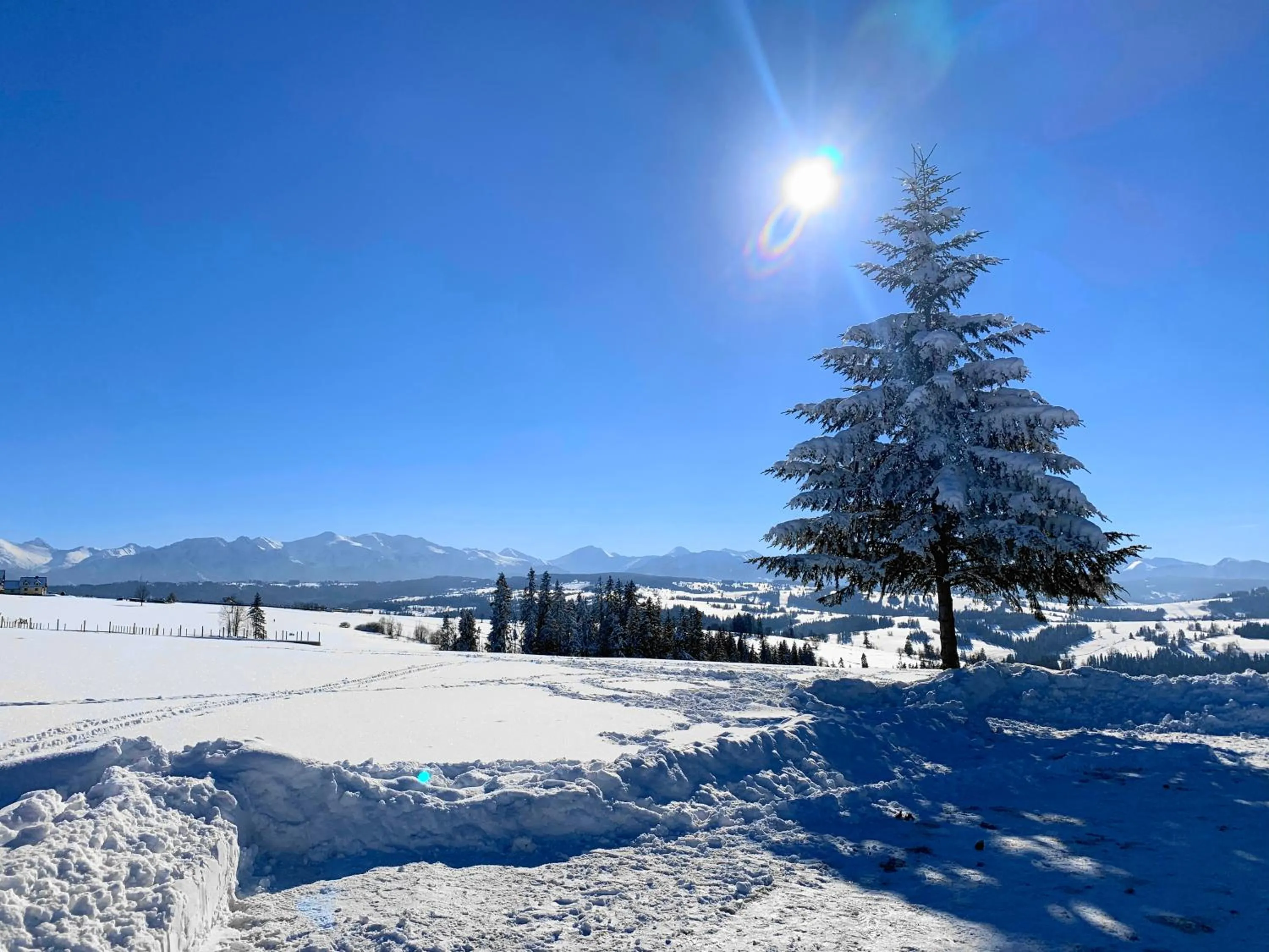 Winter in Pensjonat u Bartka - Wyzywienie na miejscu