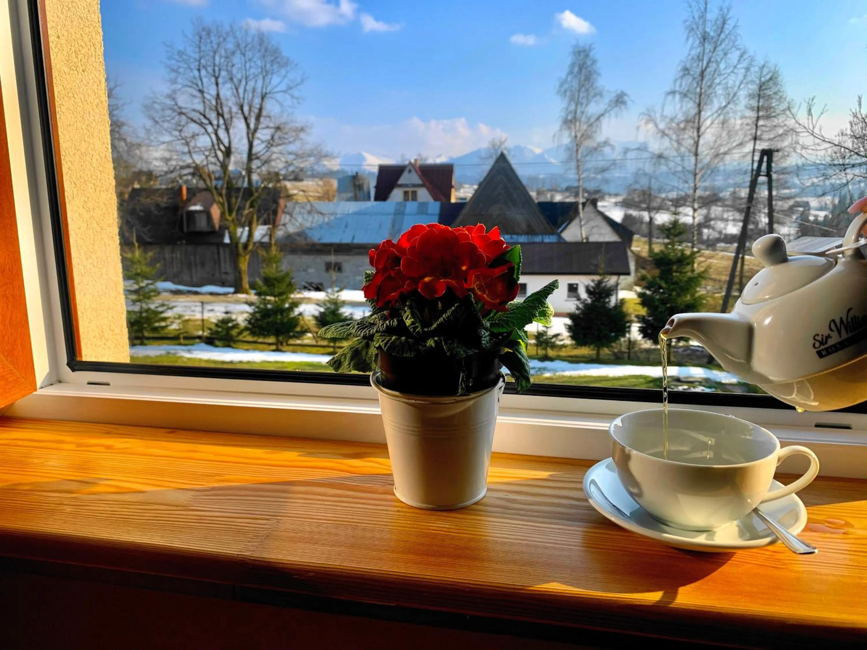 City view in Pensjonat u Bartka - Wyzywienie na miejscu