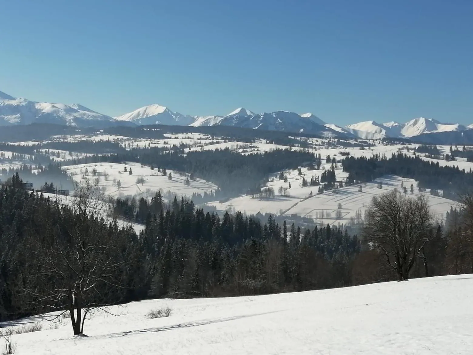 Off site in Pensjonat u Bartka - Wyzywienie na miejscu