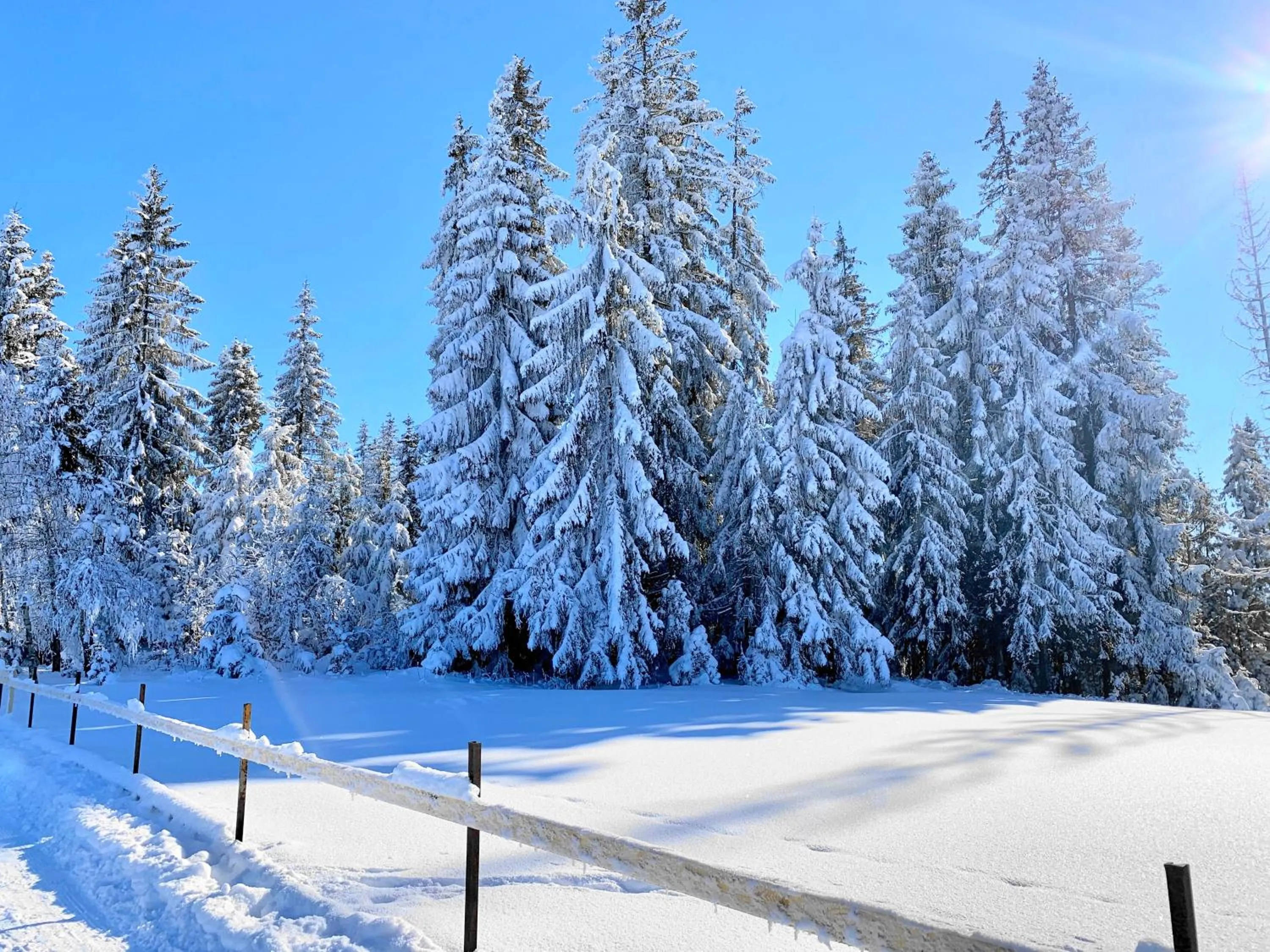 Activities in Pensjonat u Bartka - Wyzywienie na miejscu