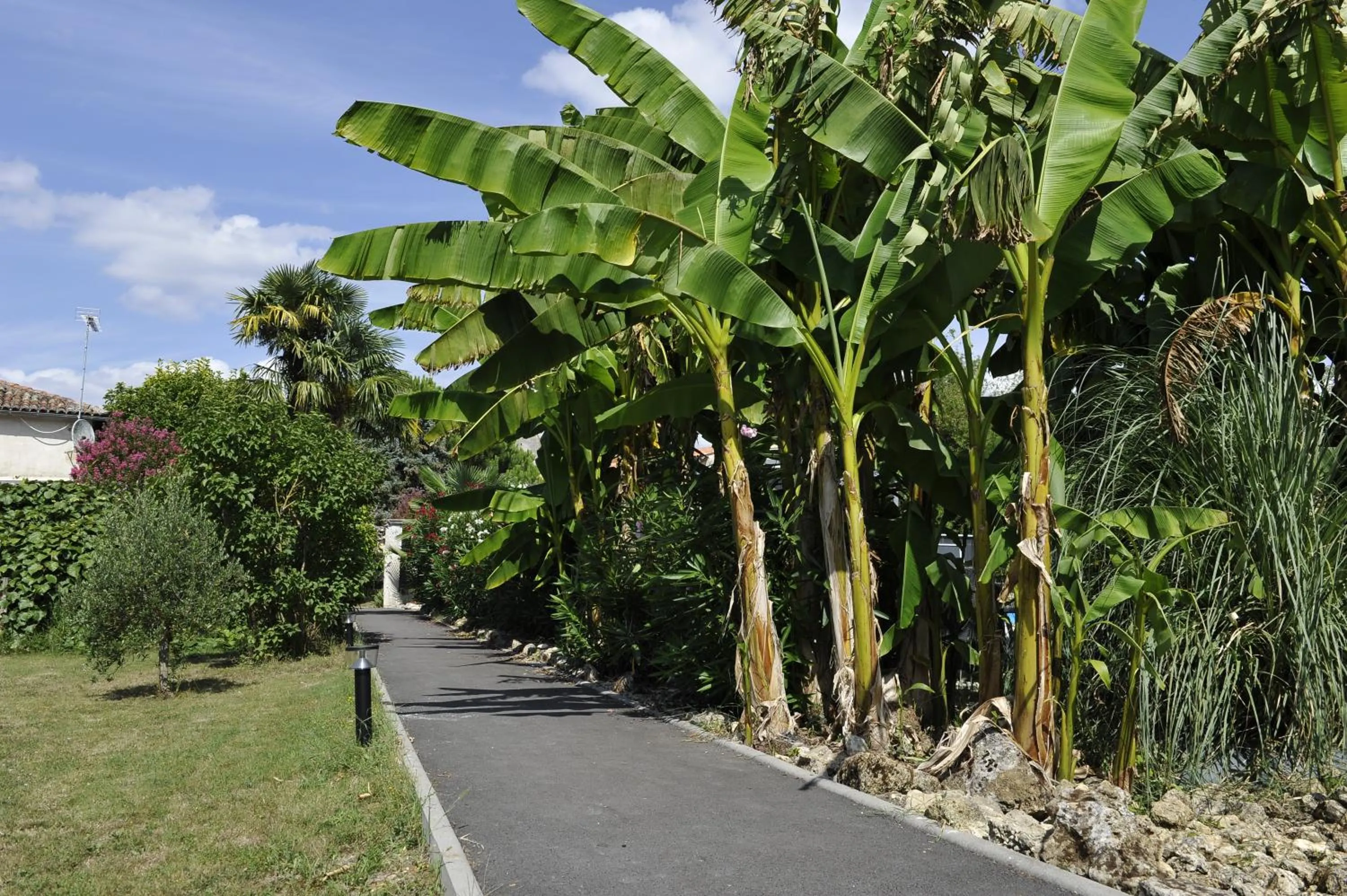 Natural landscape in Jardin d'arcy - chambres d'hôtes avec piscine et SPA