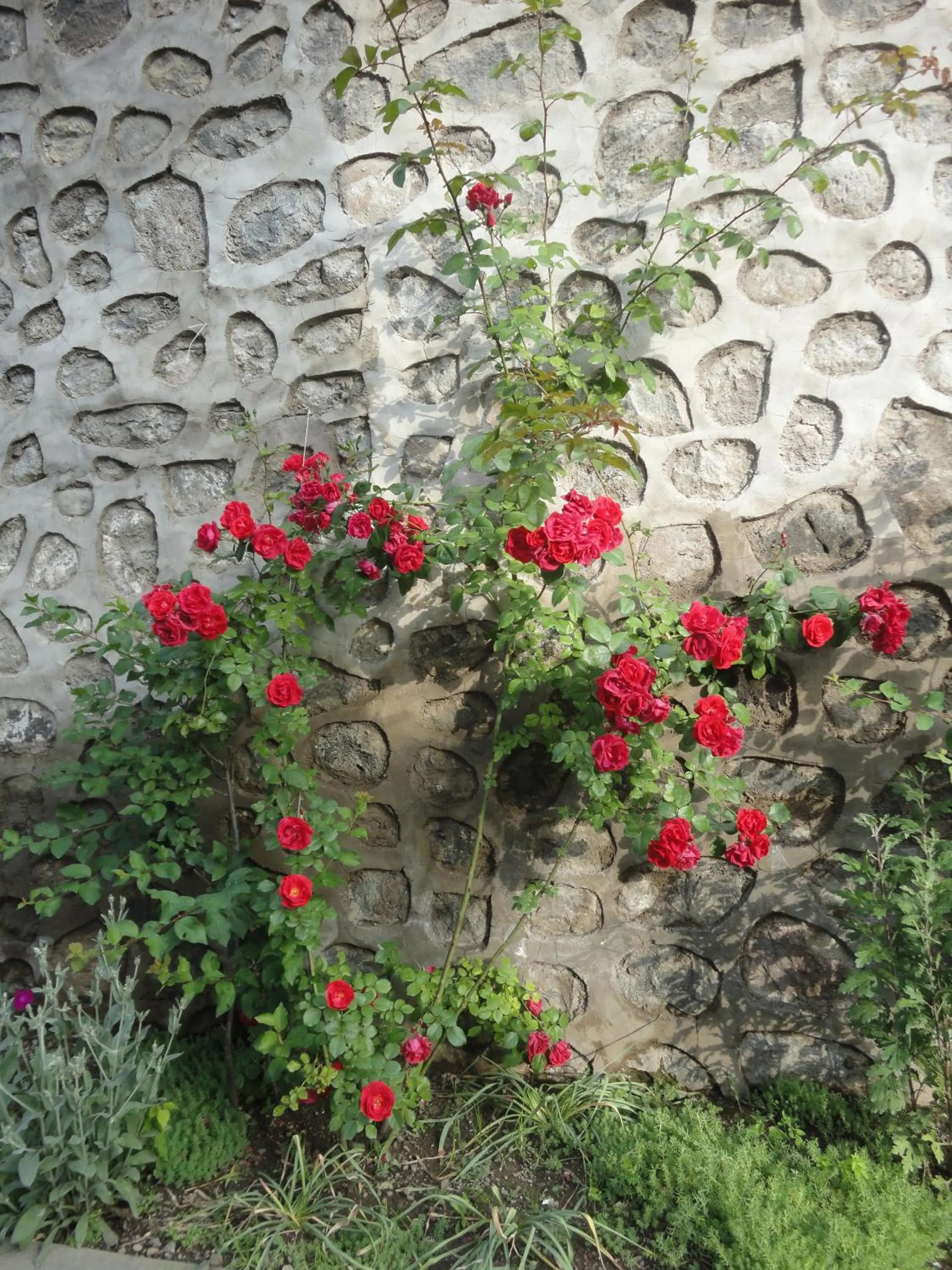 Summer in Christy Hotel