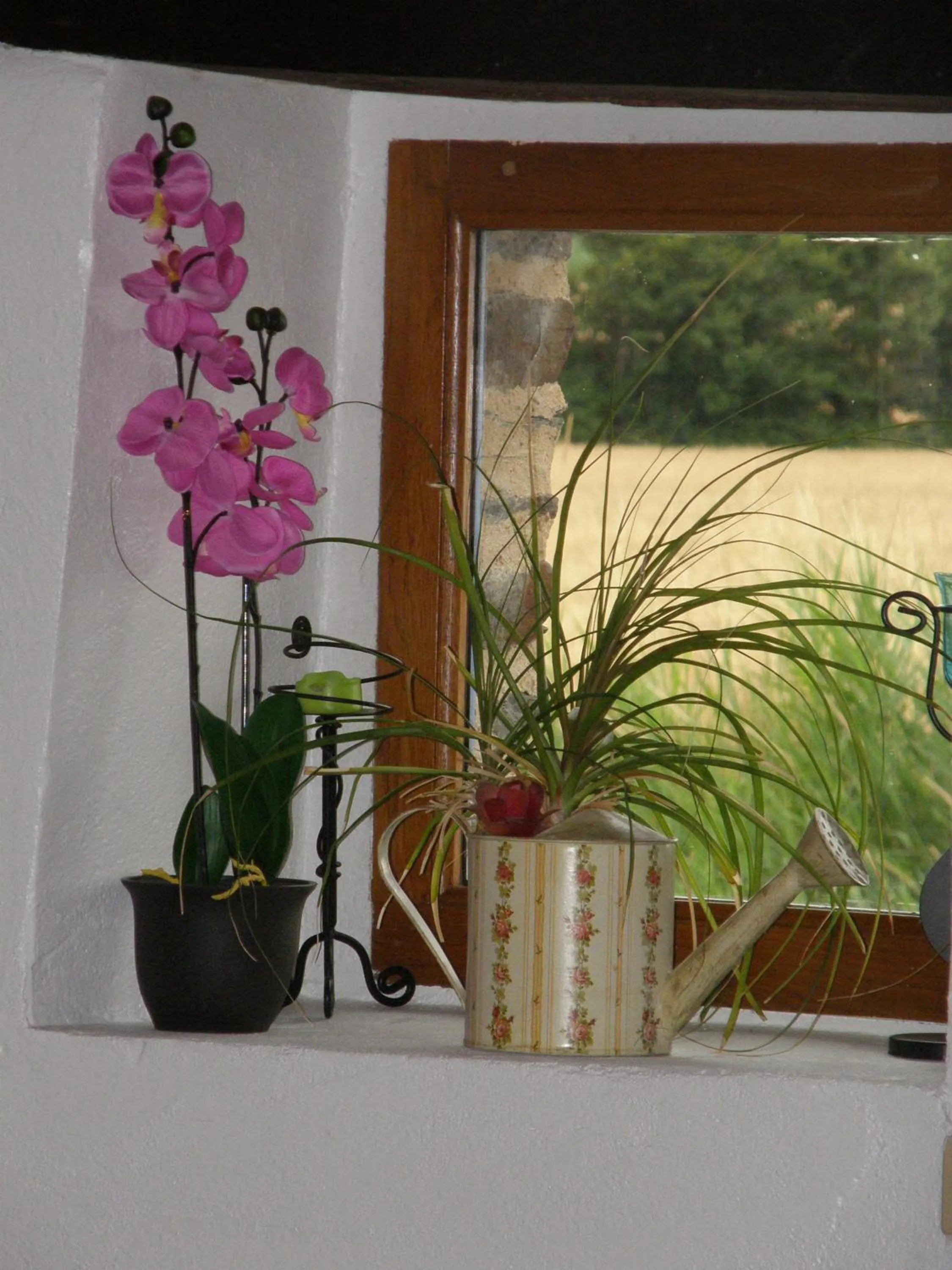 Facade/entrance in La Bastide du Moulin - Mont St Michel