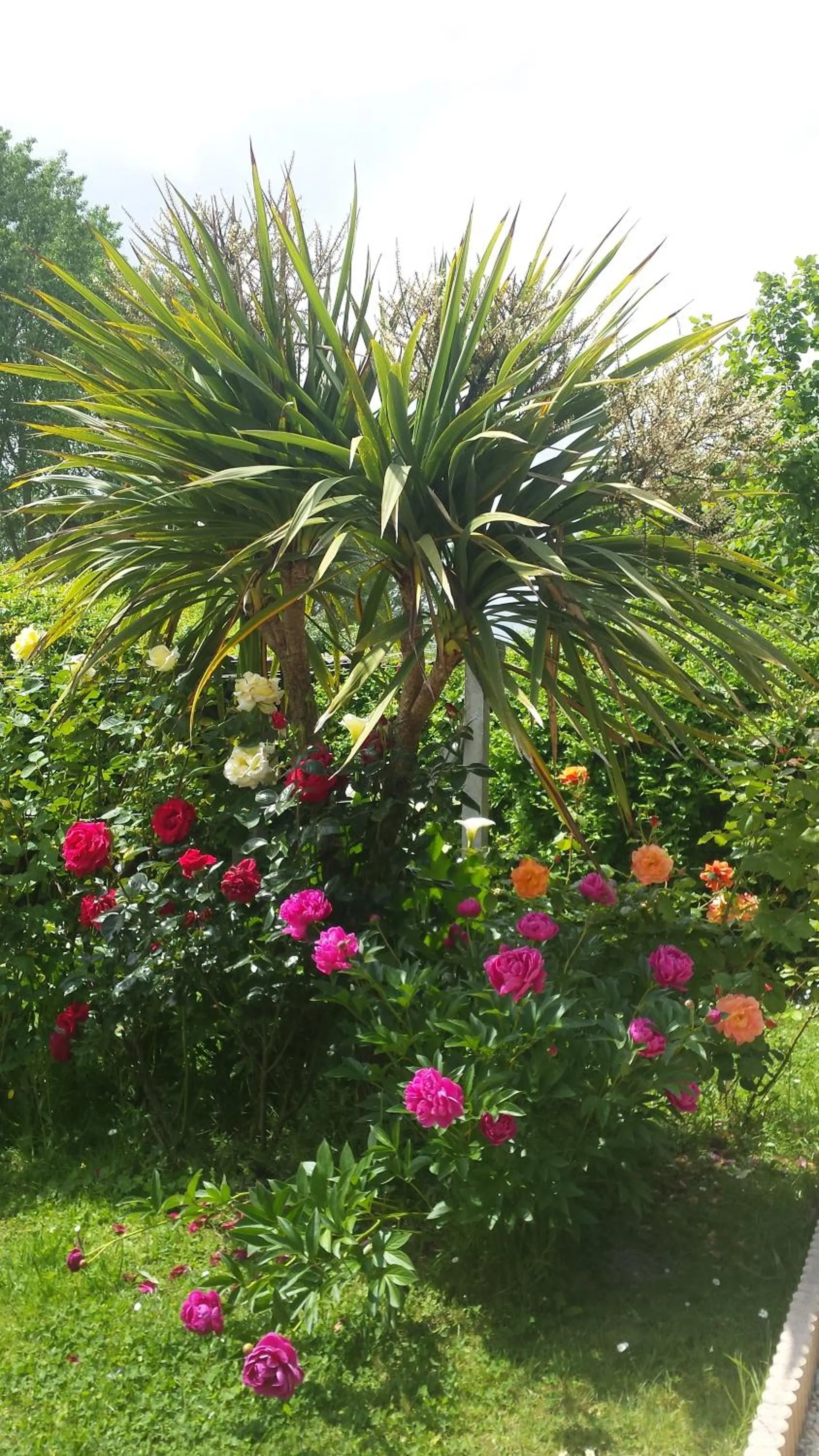 Garden view in La Bastide du Moulin - Mont St Michel