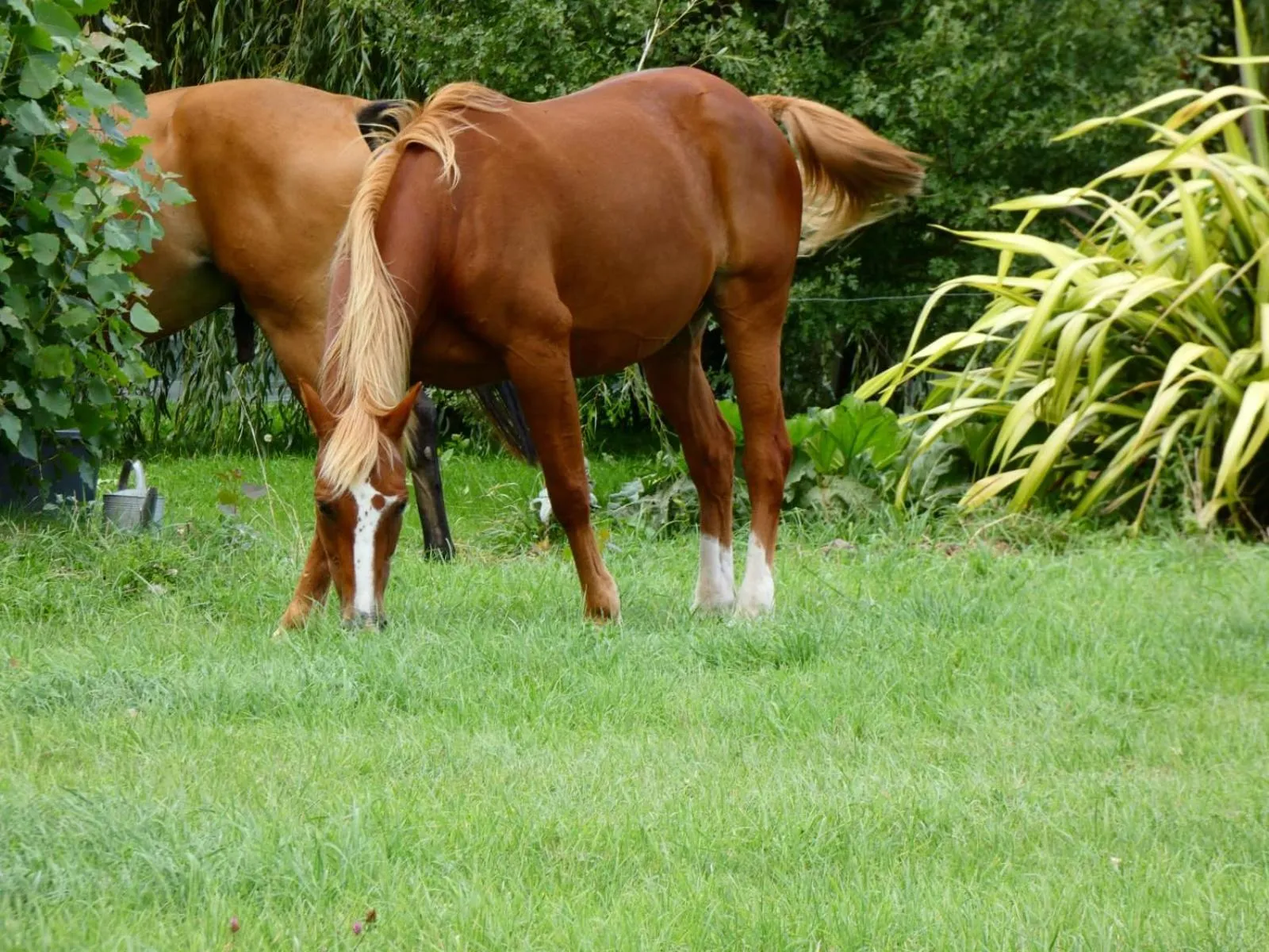 On site in La Bastide du Moulin - Mont St Michel