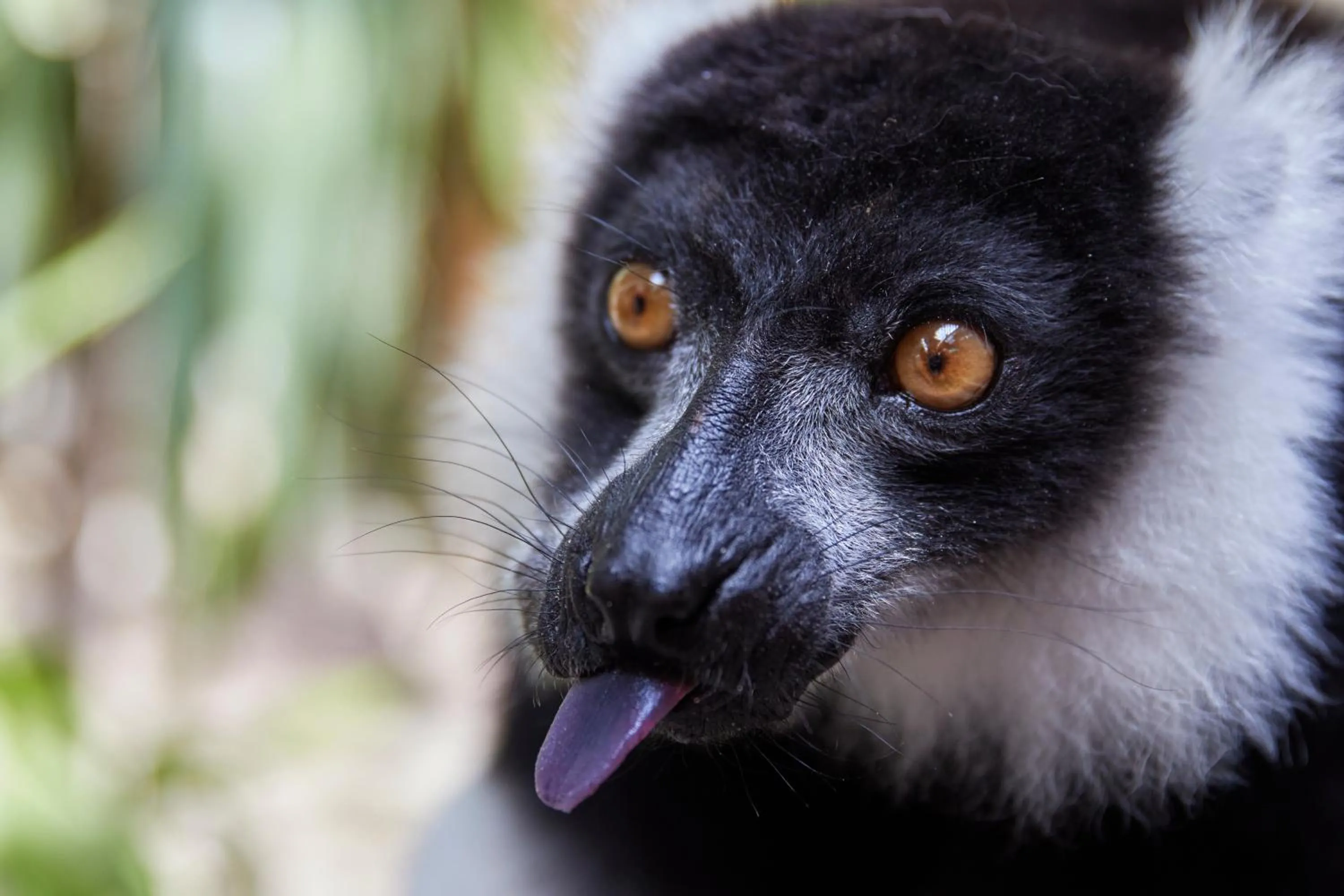 Children play ground in Four Points by Sheraton Costa Blanca Villas