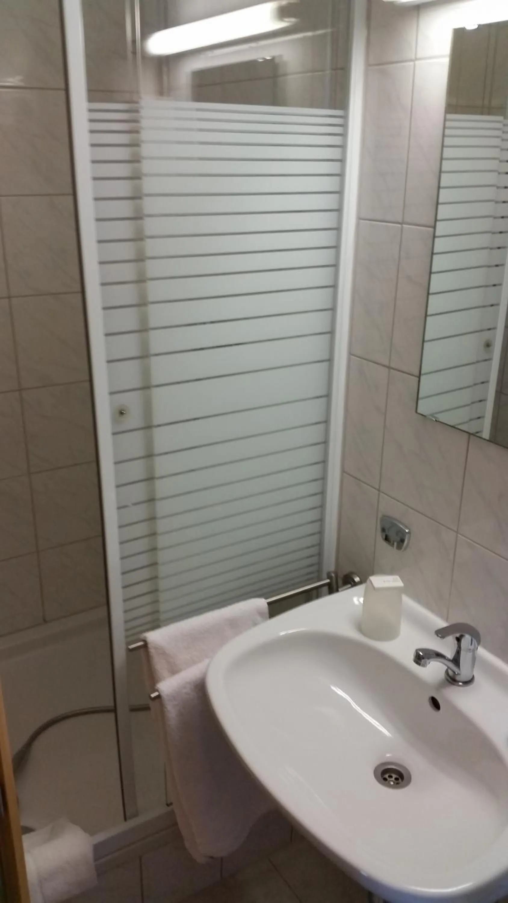 Bathroom in Hotel Elsenztal