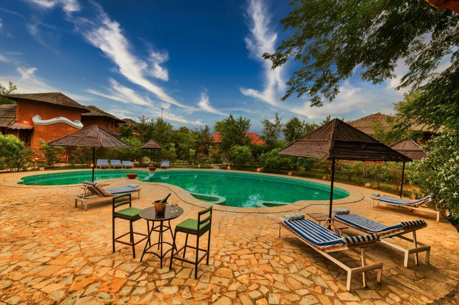 Swimming pool in The Earth at Ranthambore