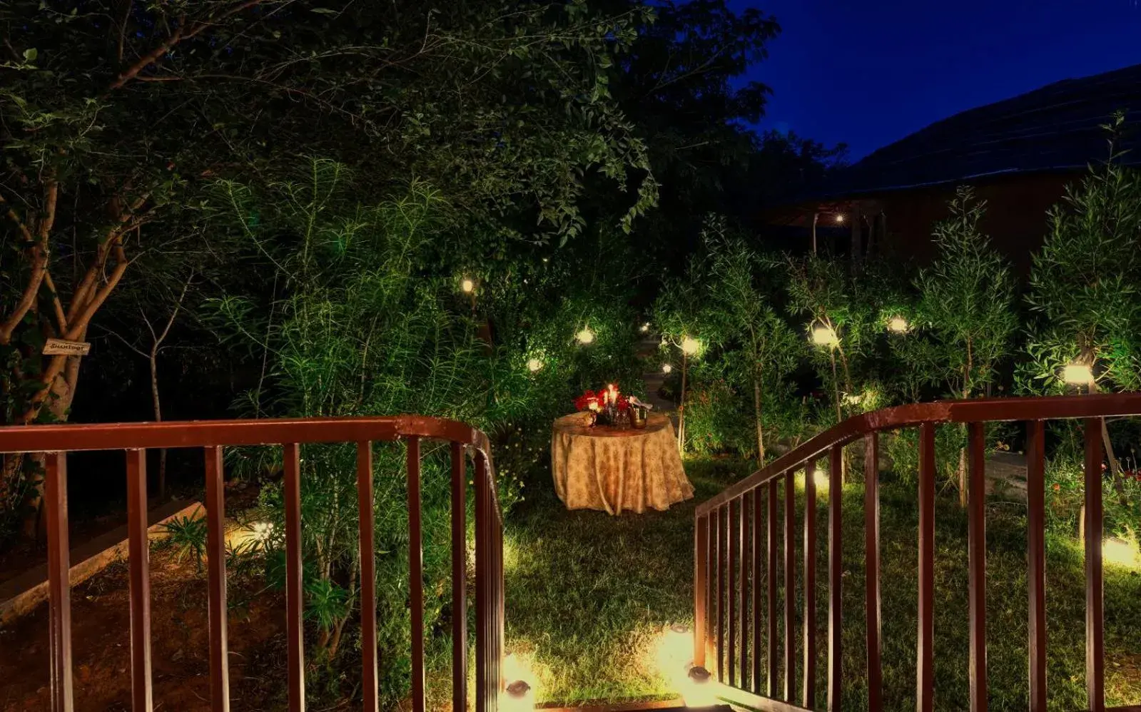 Vanam in The Earth at Ranthambore Vanam in The Earth at Ranthambore