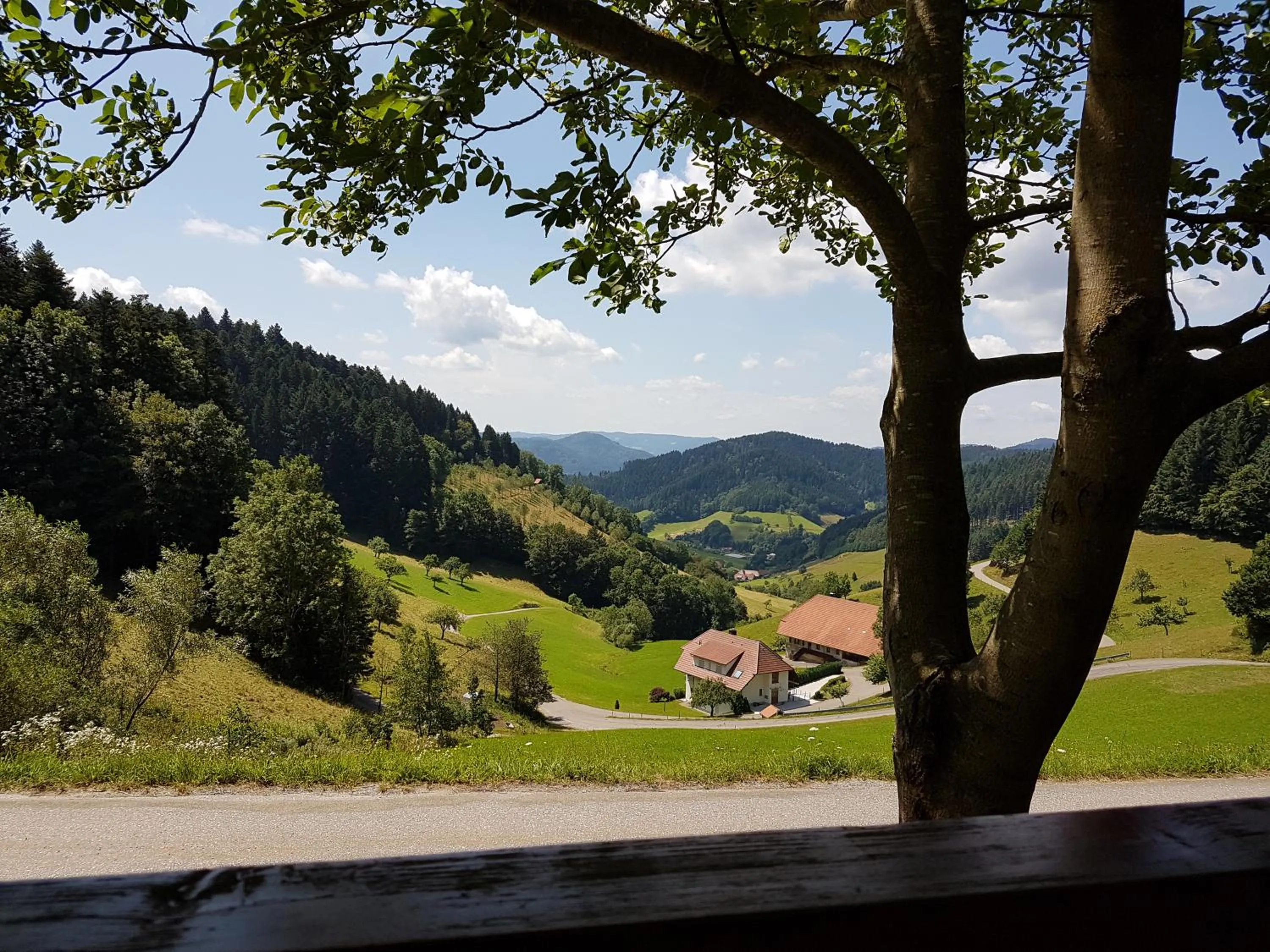 Mountain view in Hotel 3 Könige