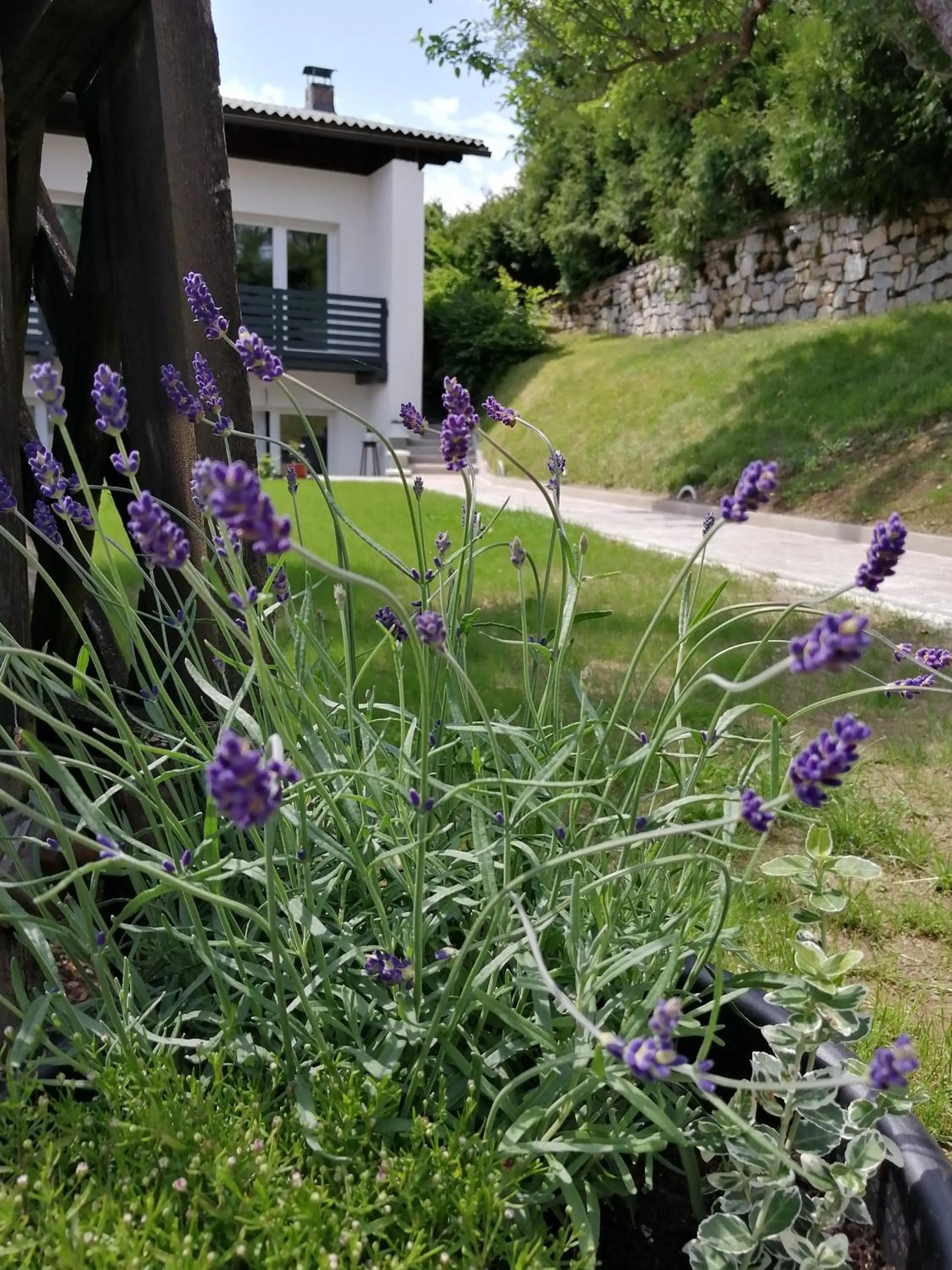 Facade/entrance in Hillside Rooms