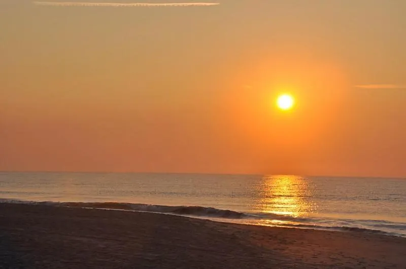 Carolina Dunes 502