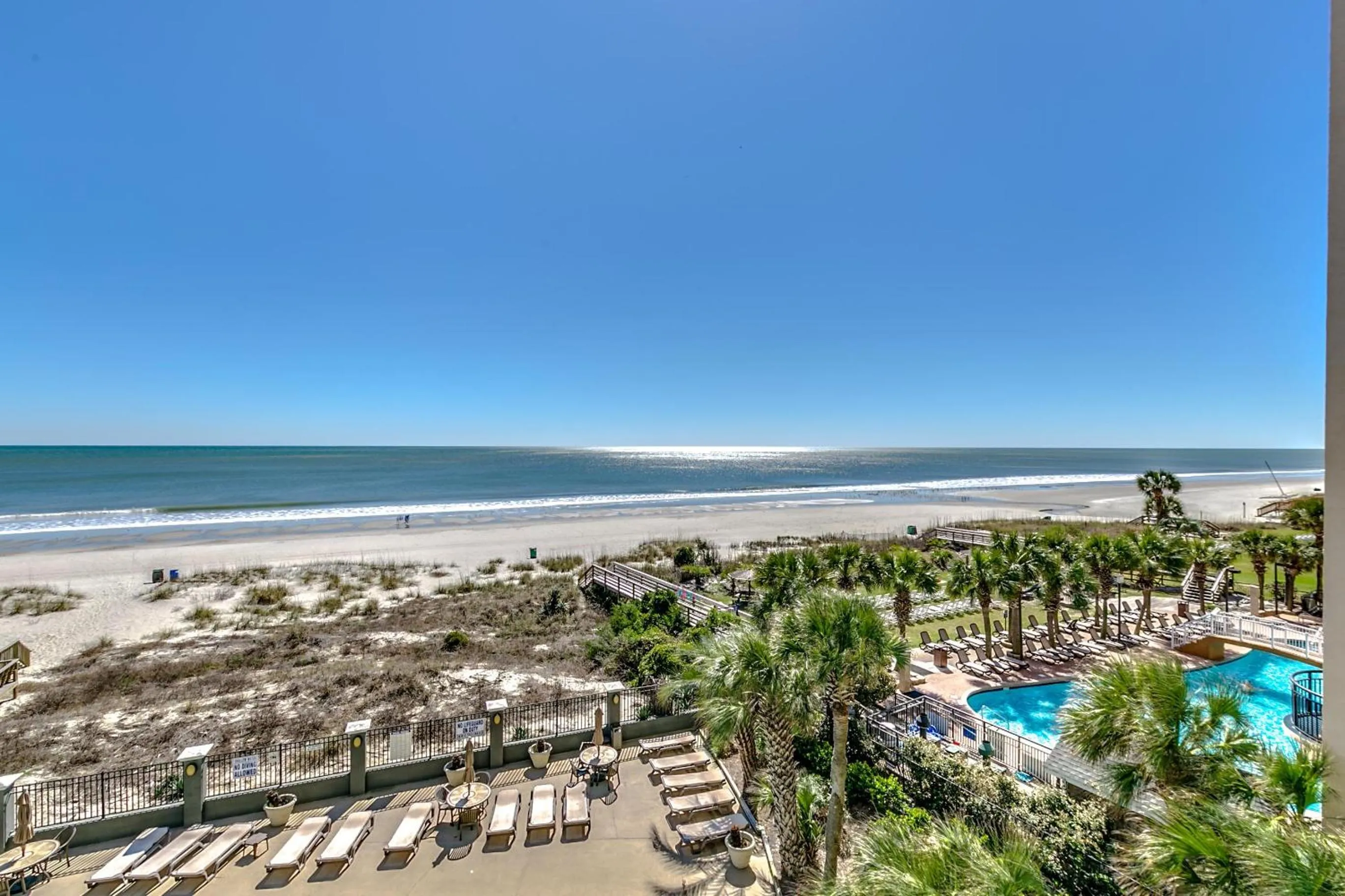 Carolina Dunes 502